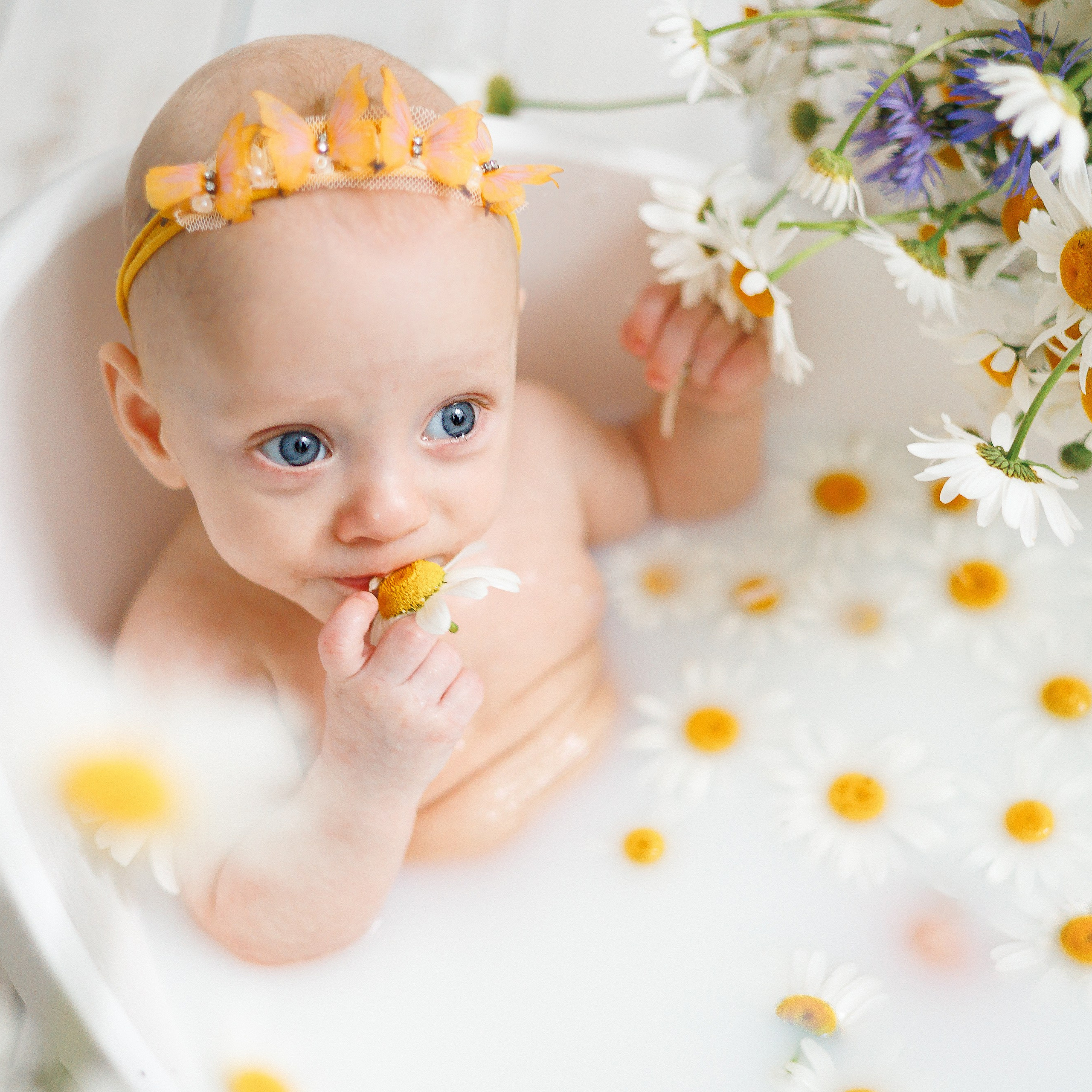 Молочные купания с ромашками. Фотограф новорождённых в Йошкар-Оле Ильмира Сидоркина