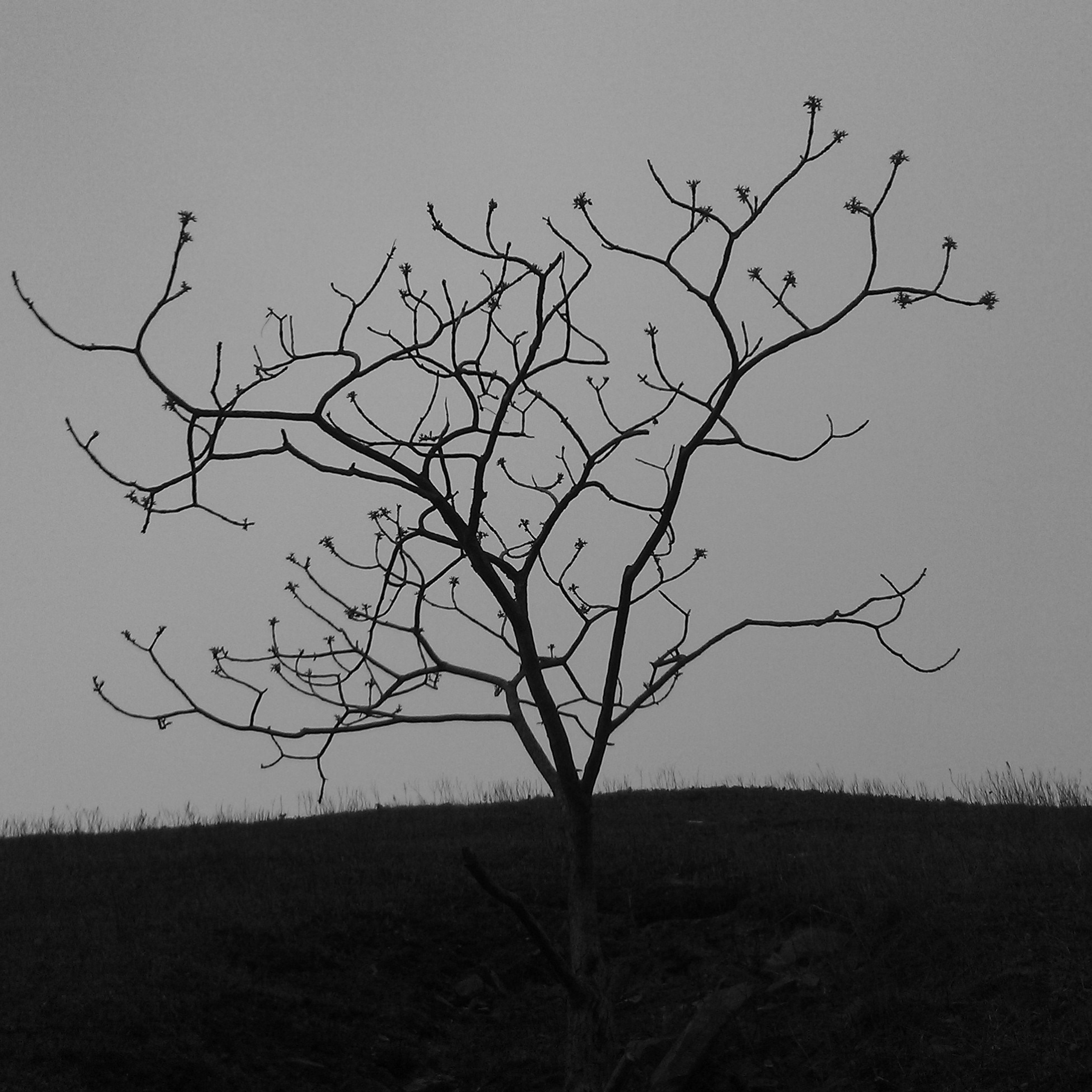 Пейзаж, архитектура, текстура. Фотограф Владивосток Николай Тынько
