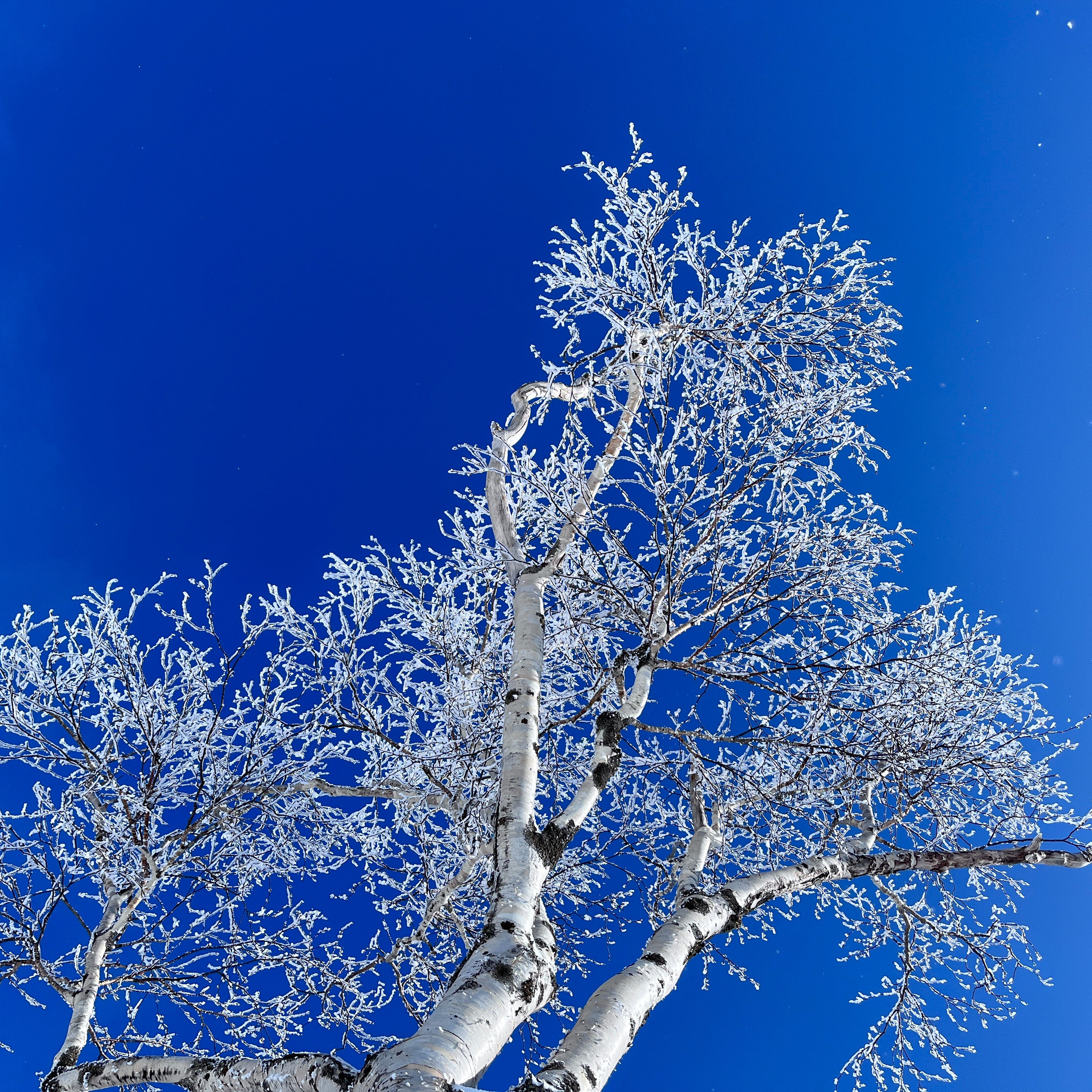 Пейзаж, архитектура, текстура. Фотограф Владивосток Николай Тынько