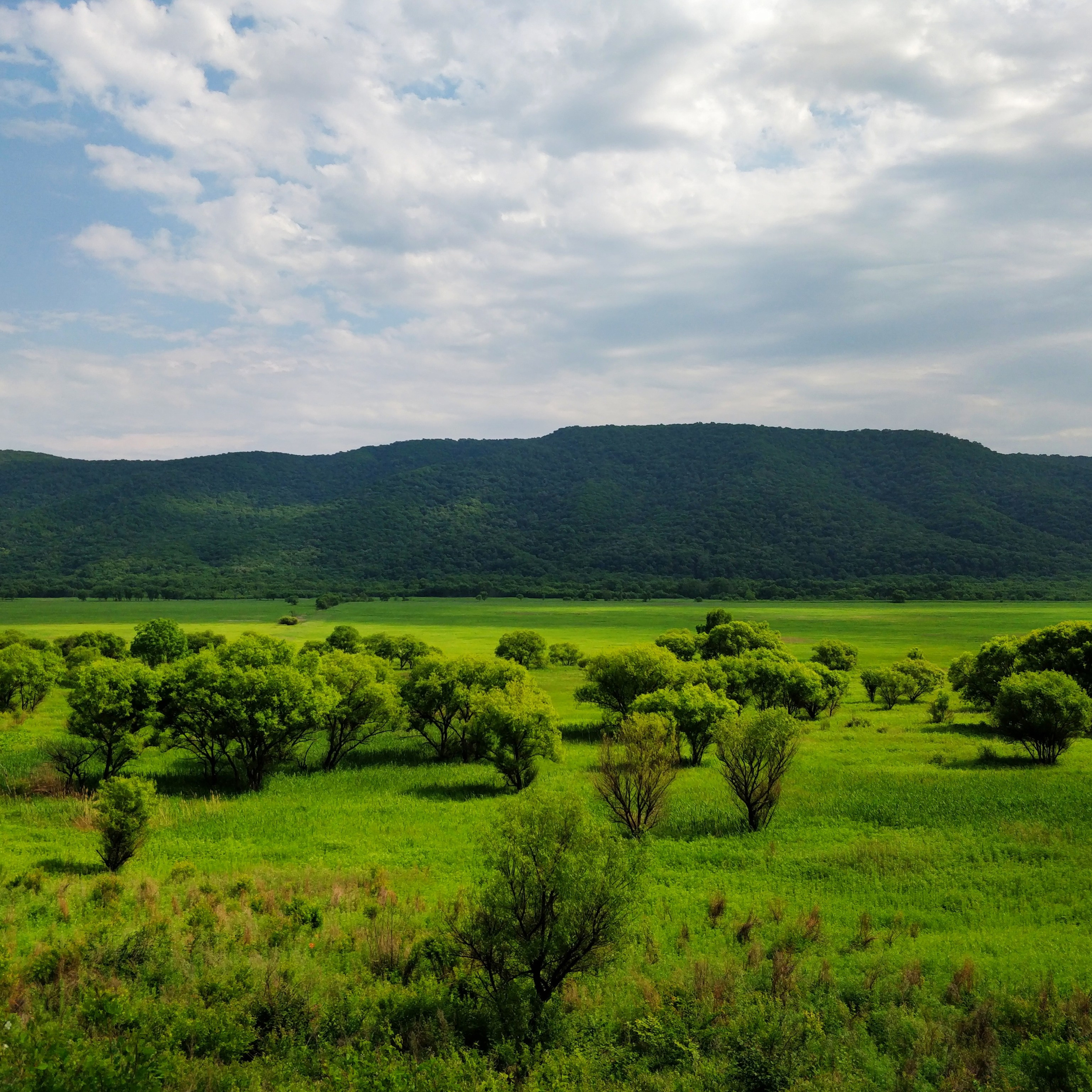 Пейзаж, архитектура, текстура. Фотограф Владивосток Николай Тынько