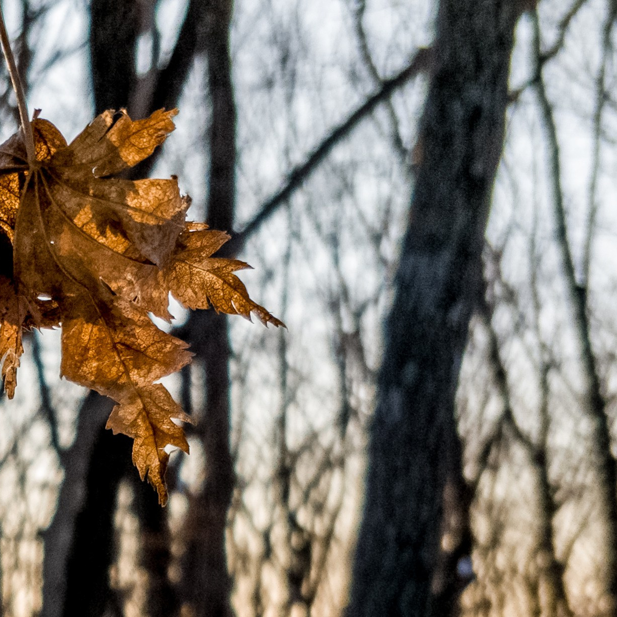 Пейзаж, архитектура, текстура. Фотограф Владивосток Николай Тынько