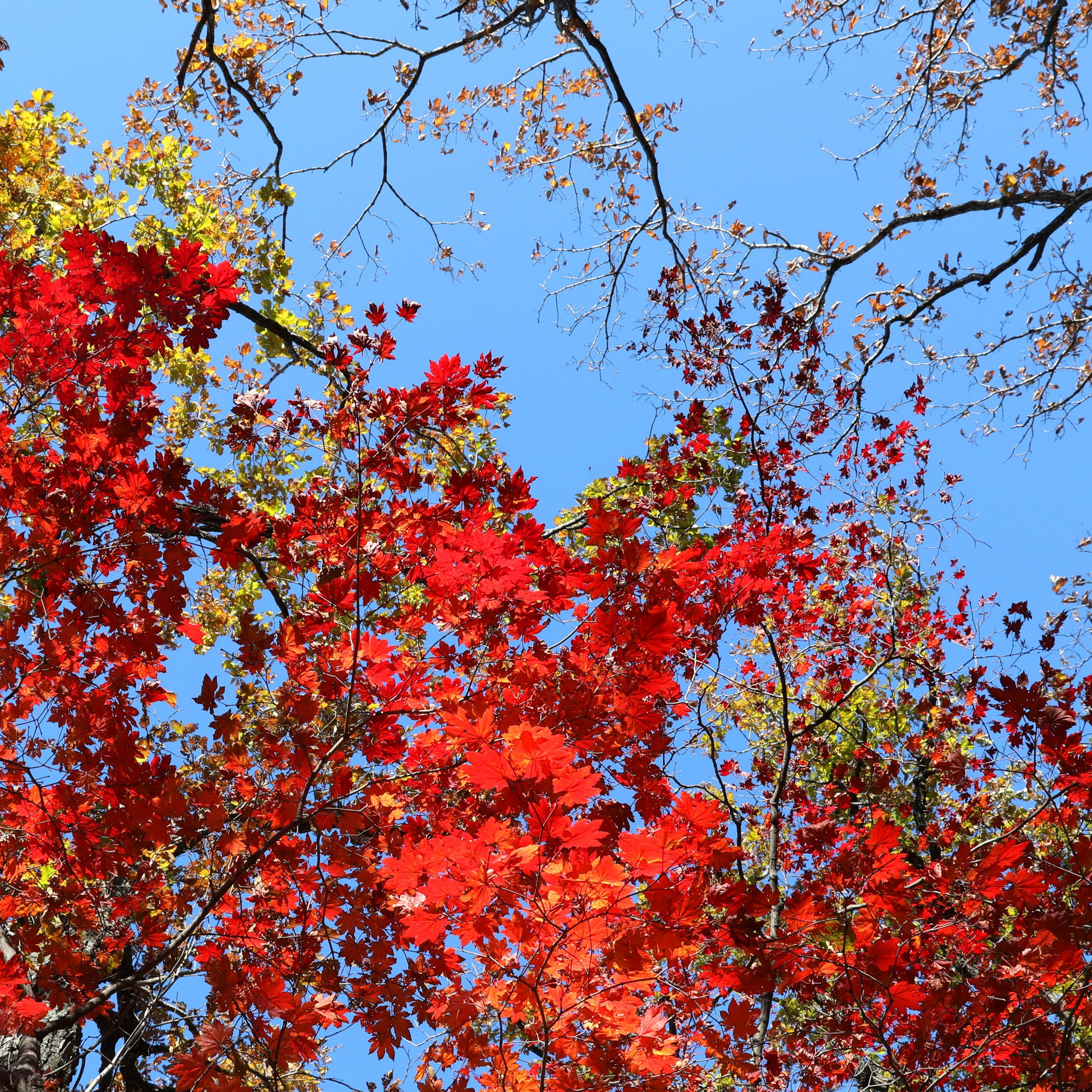 Пейзаж, архитектура, текстура. Фотограф Владивосток Николай Тынько