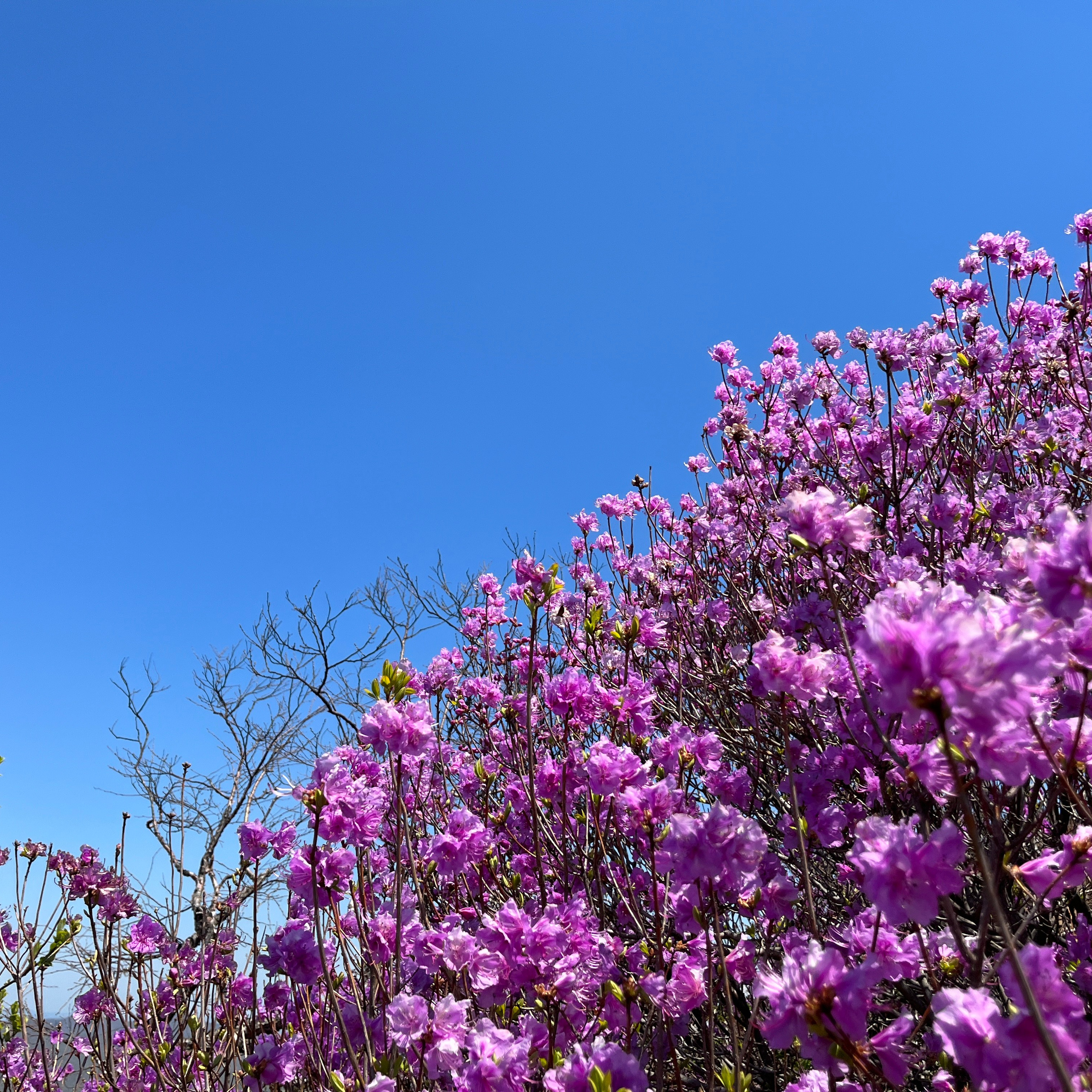 Пейзаж, архитектура, текстура. Фотограф Владивосток Николай Тынько