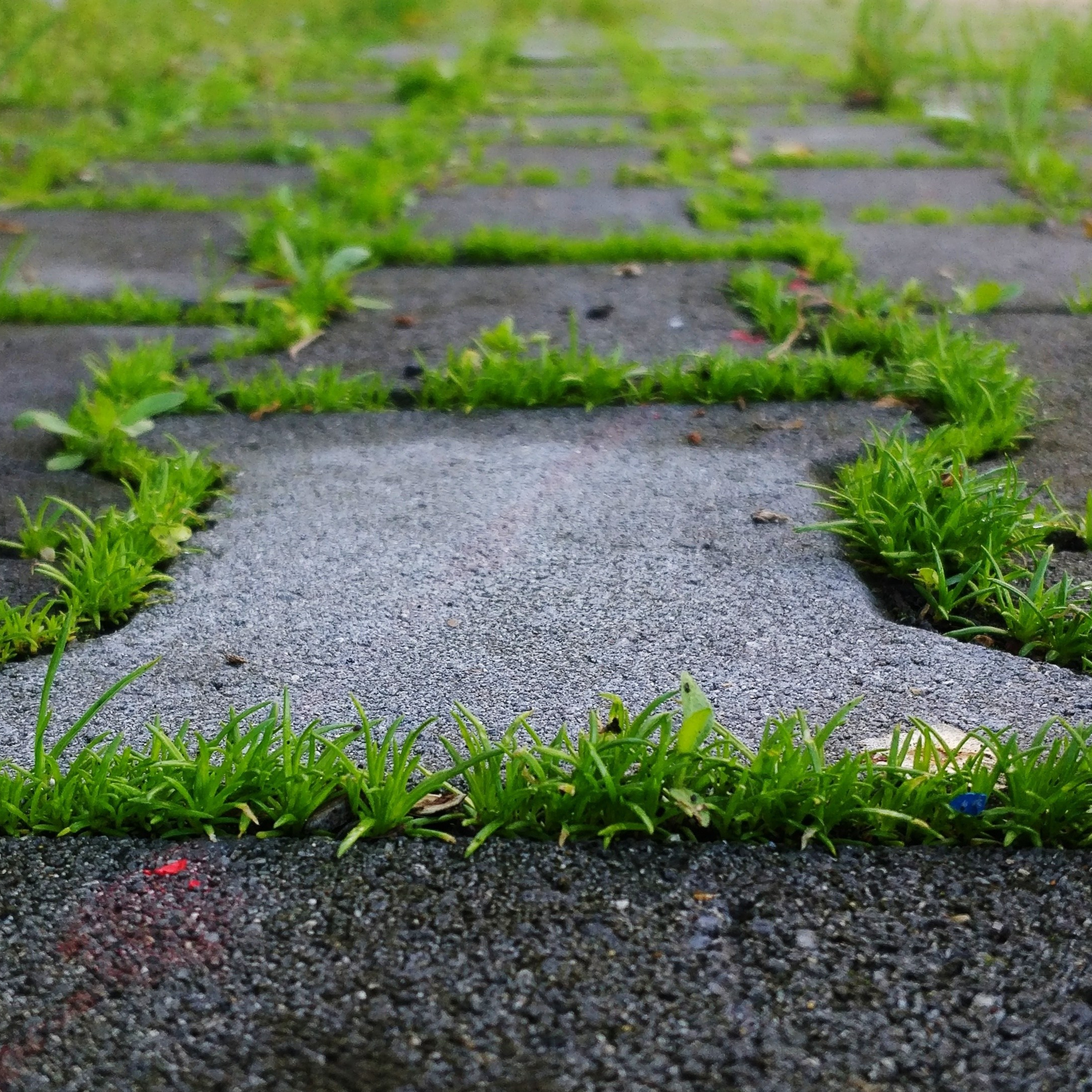 Пейзаж, архитектура, текстура. Фотограф Владивосток Николай Тынько