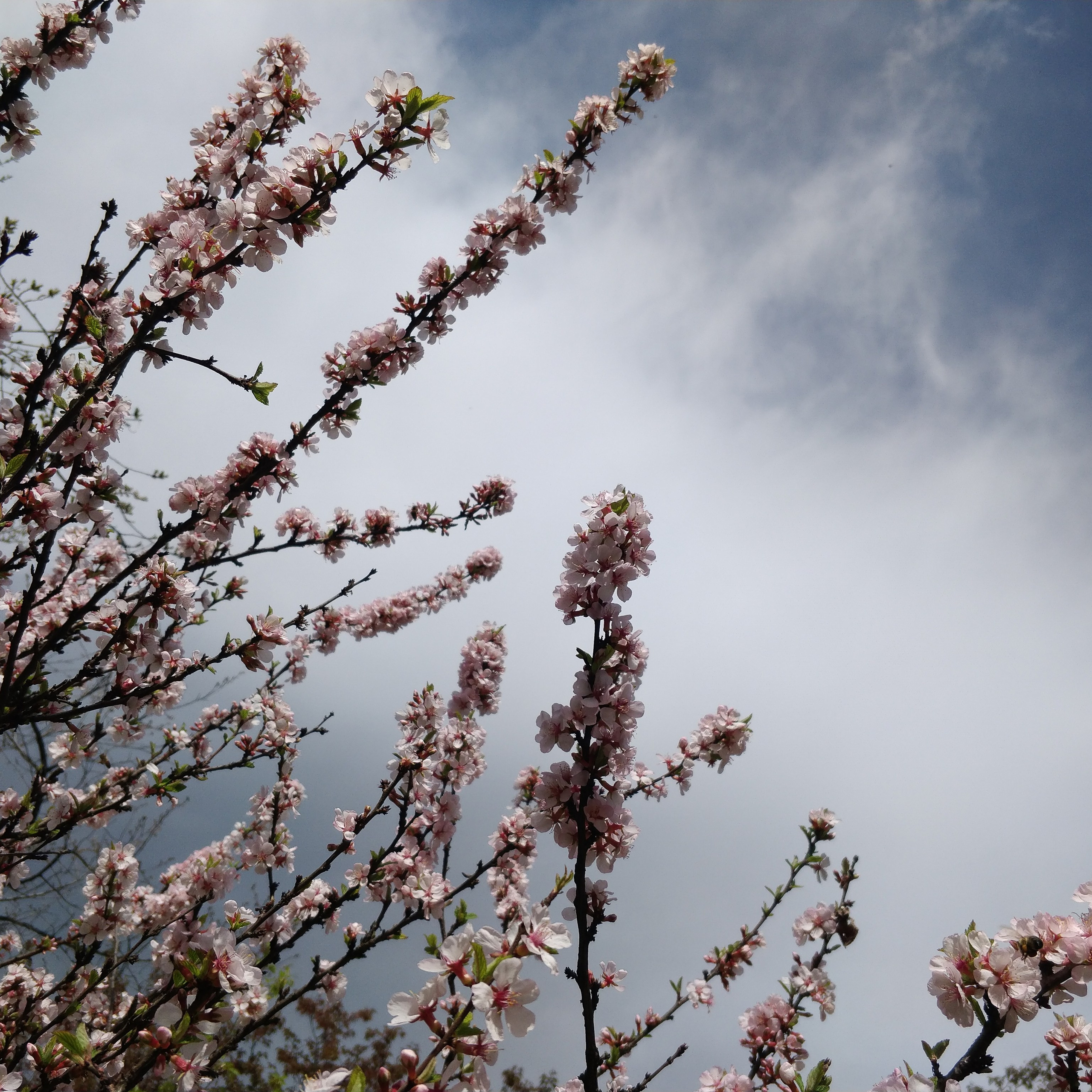 Пейзаж, архитектура, текстура. Фотограф Владивосток Николай Тынько