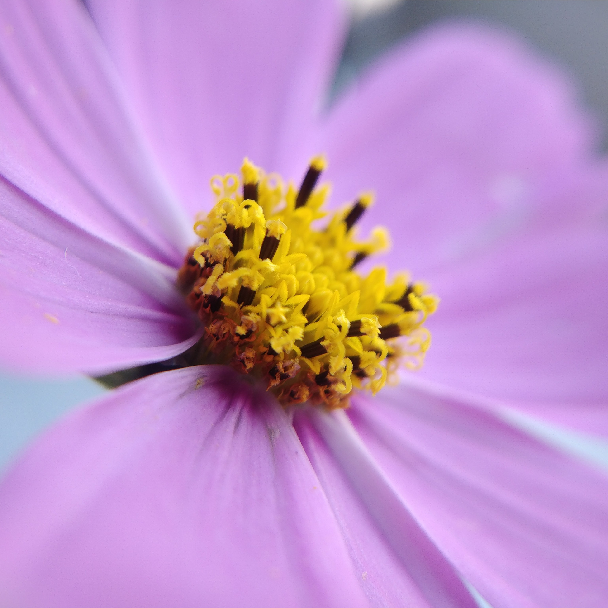Пейзаж, архитектура, текстура. Фотограф Владивосток Николай Тынько