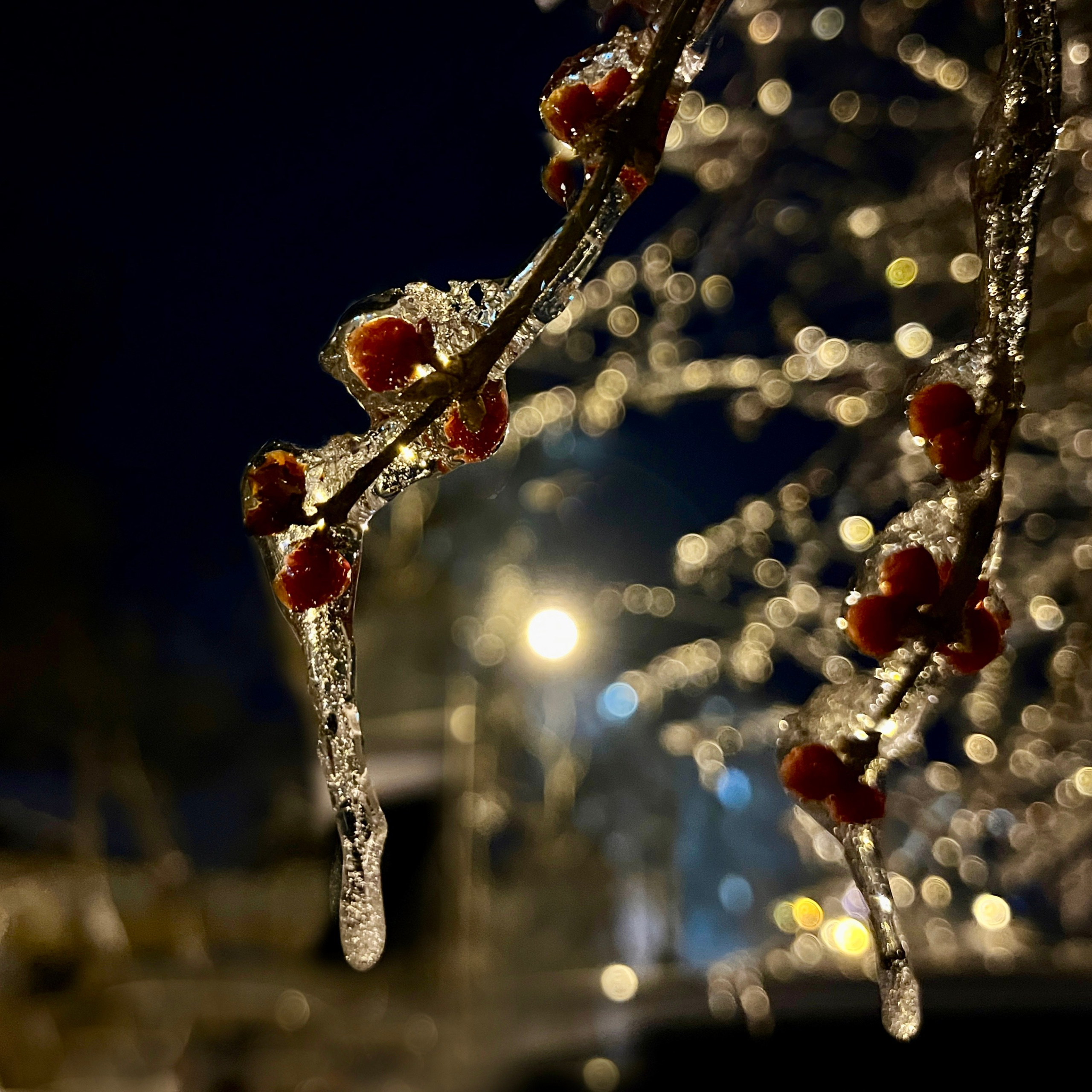 Пейзаж, архитектура, текстура. Фотограф Владивосток Николай Тынько