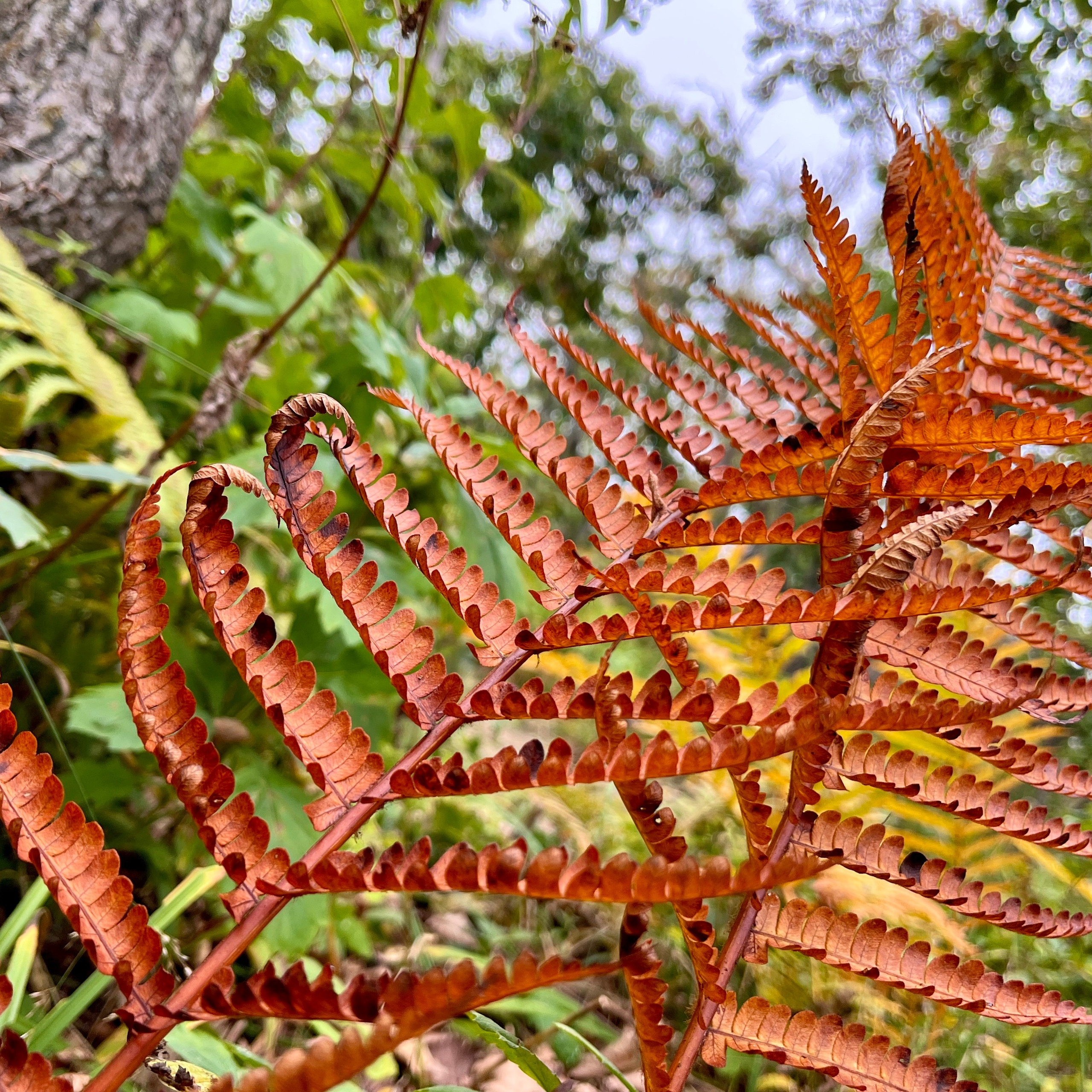 Пейзаж, архитектура, текстура. Фотограф Владивосток Николай Тынько