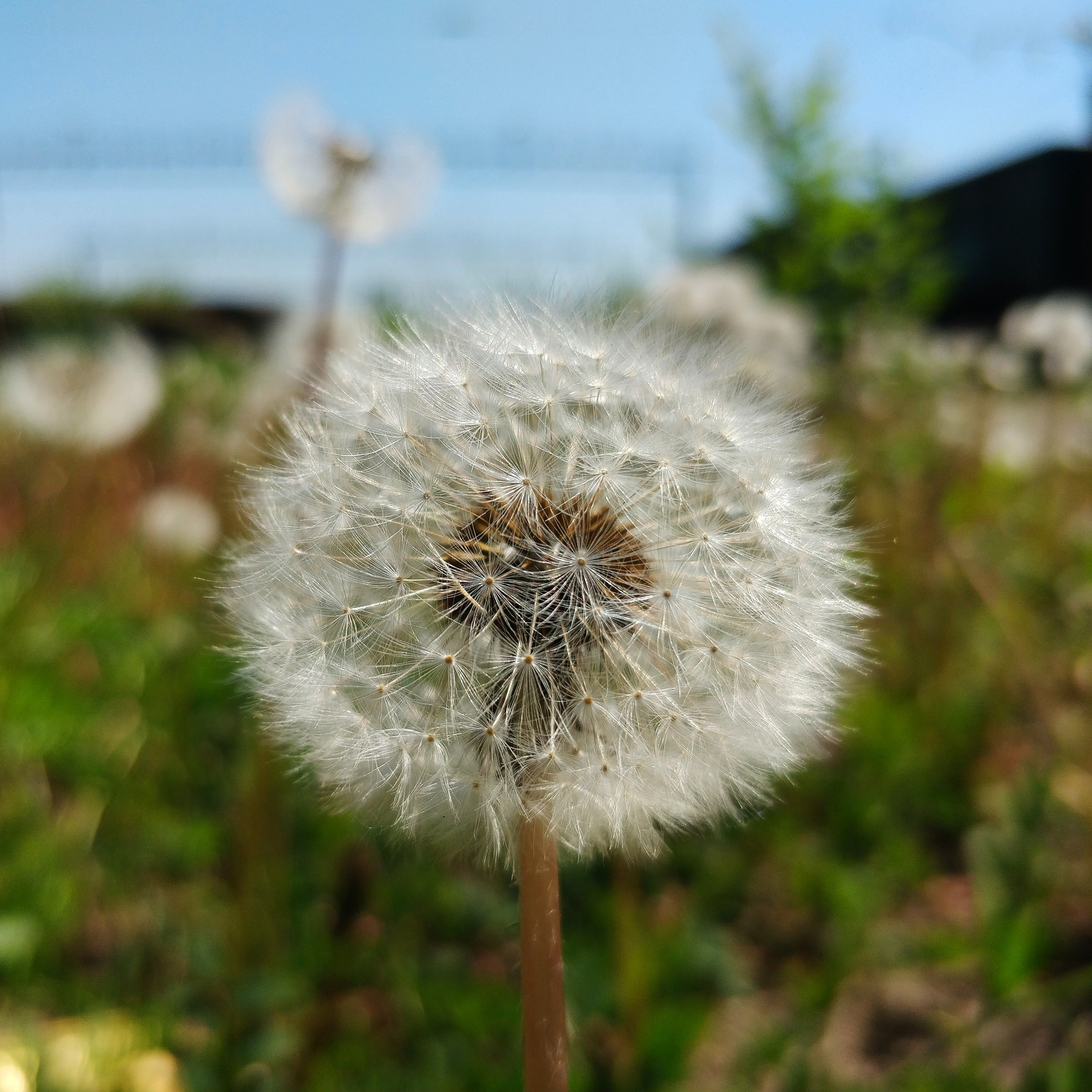 Пейзаж, архитектура, текстура. Фотограф Владивосток Николай Тынько