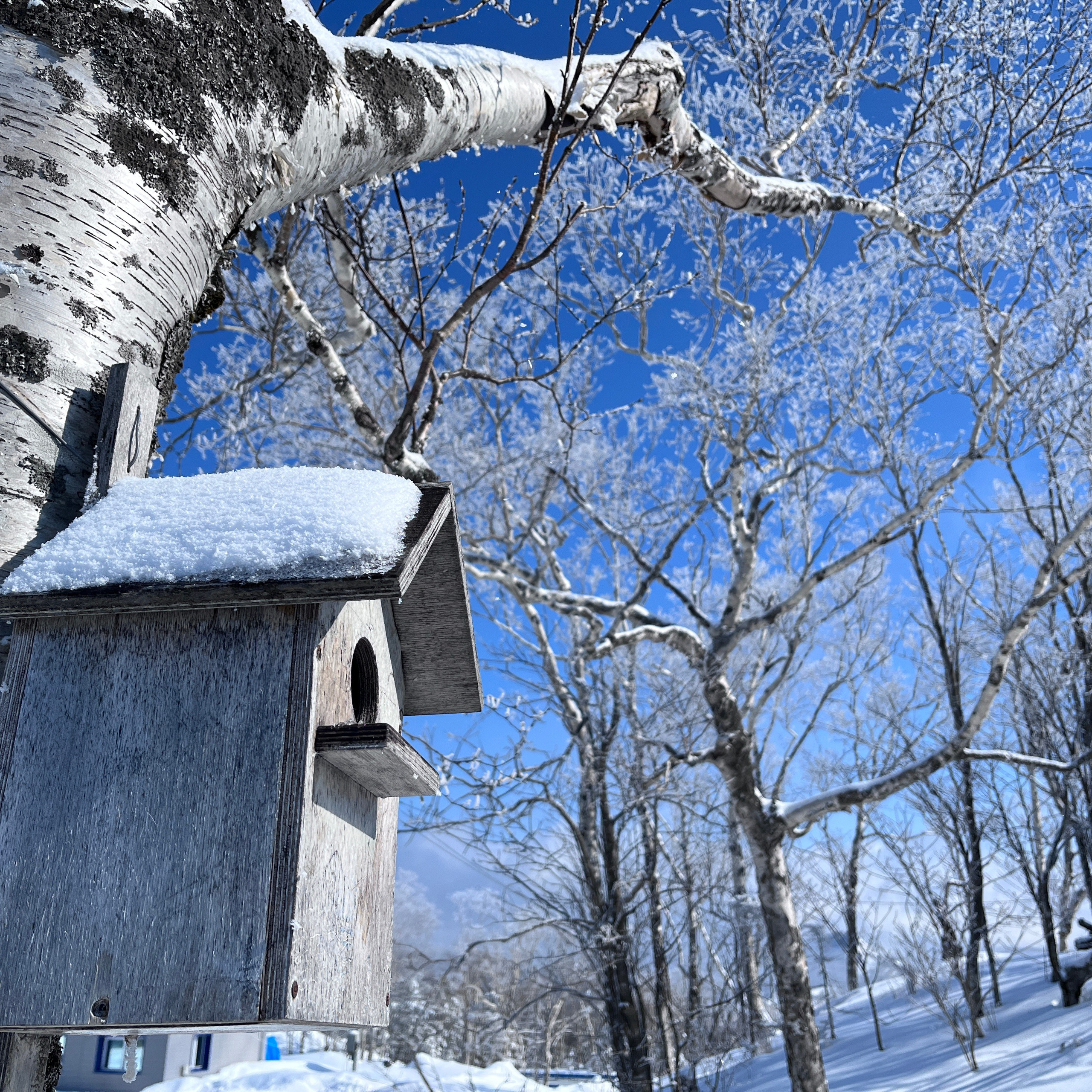 Пейзаж, архитектура, текстура. Фотограф Владивосток Николай Тынько