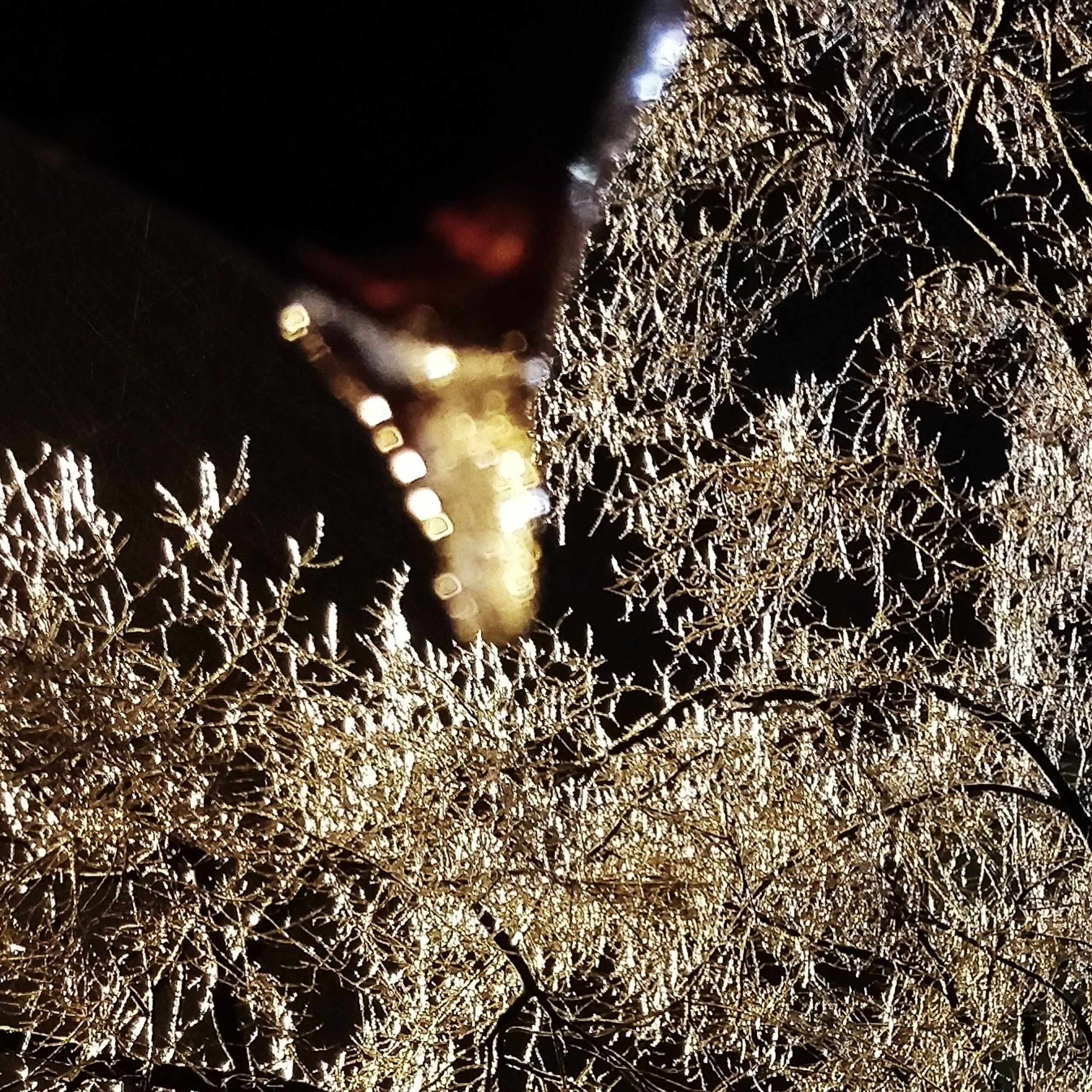 Пейзаж, архитектура, текстура. Фотограф Владивосток Николай Тынько