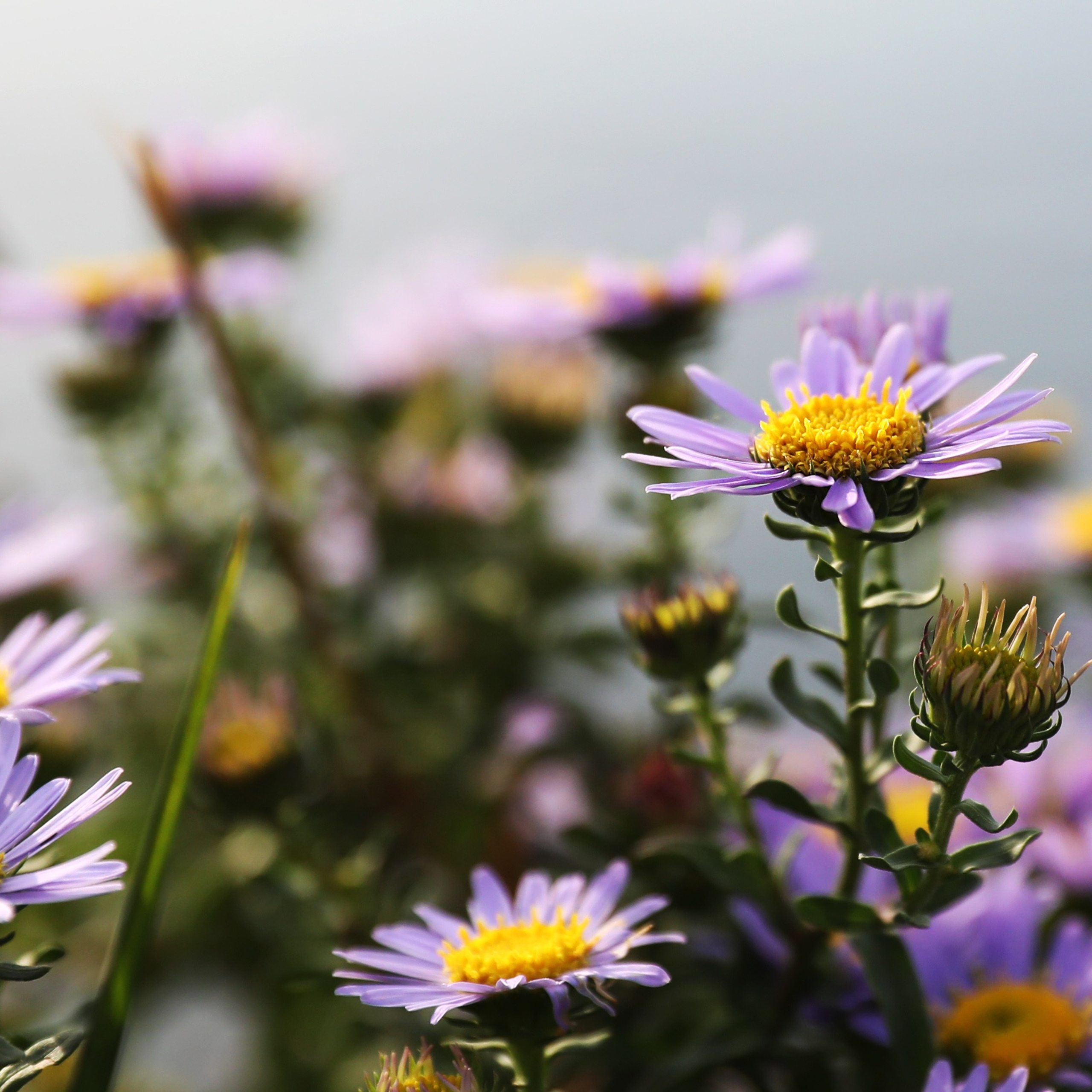 Пейзаж, архитектура, текстура. Фотограф Владивосток Николай Тынько