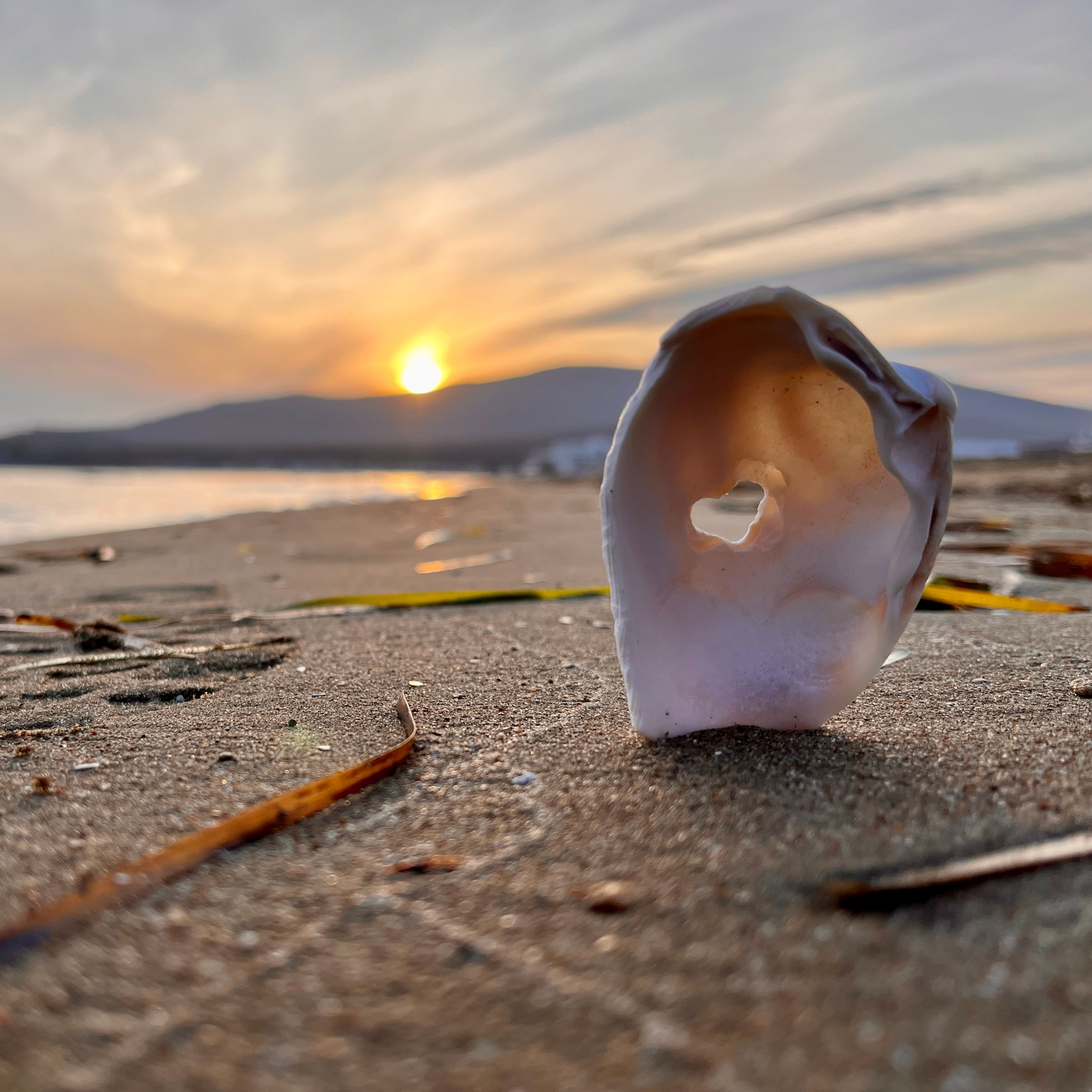 Пейзаж, архитектура, текстура. Фотограф Владивосток Николай Тынько