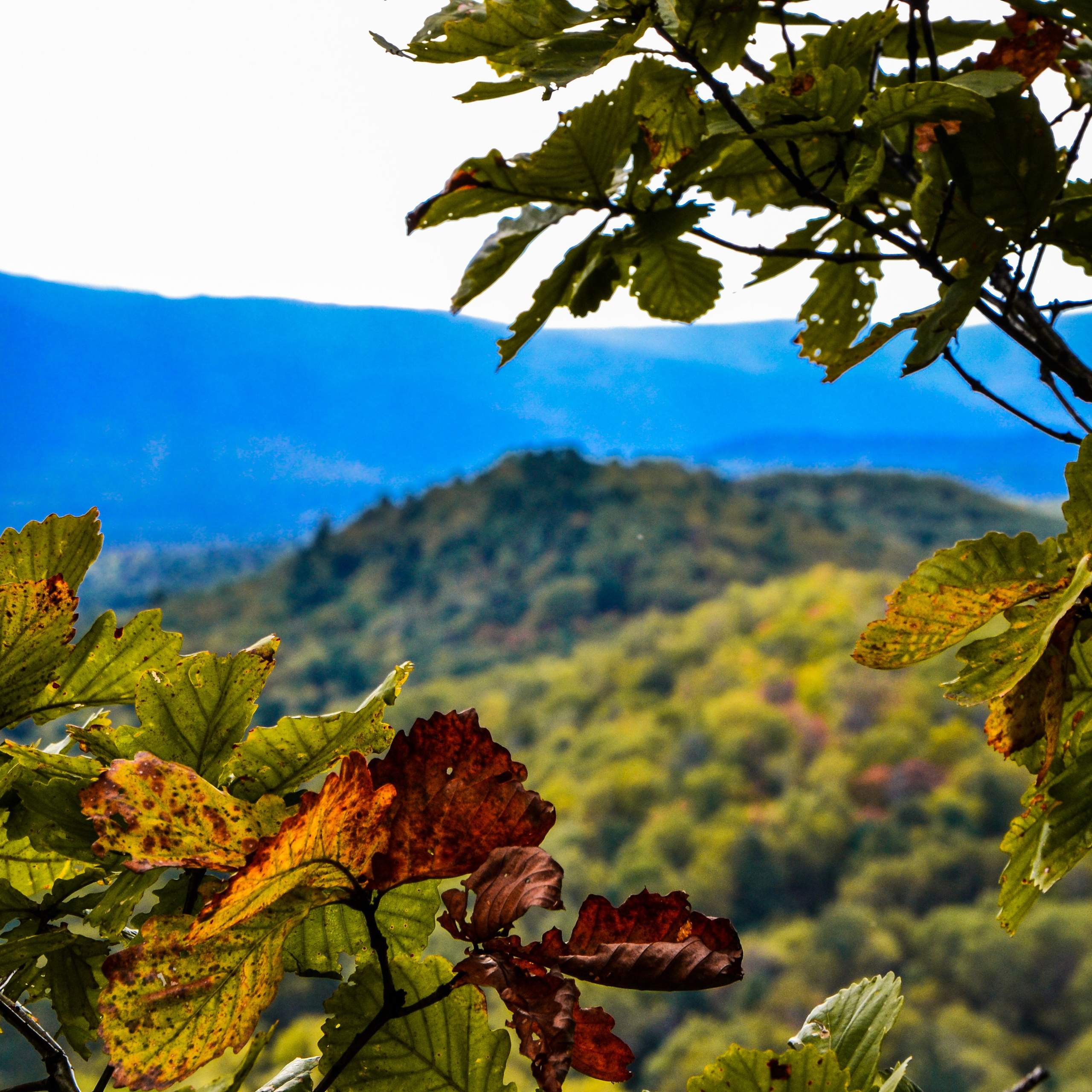 Пейзаж, архитектура, текстура. Фотограф Владивосток Николай Тынько