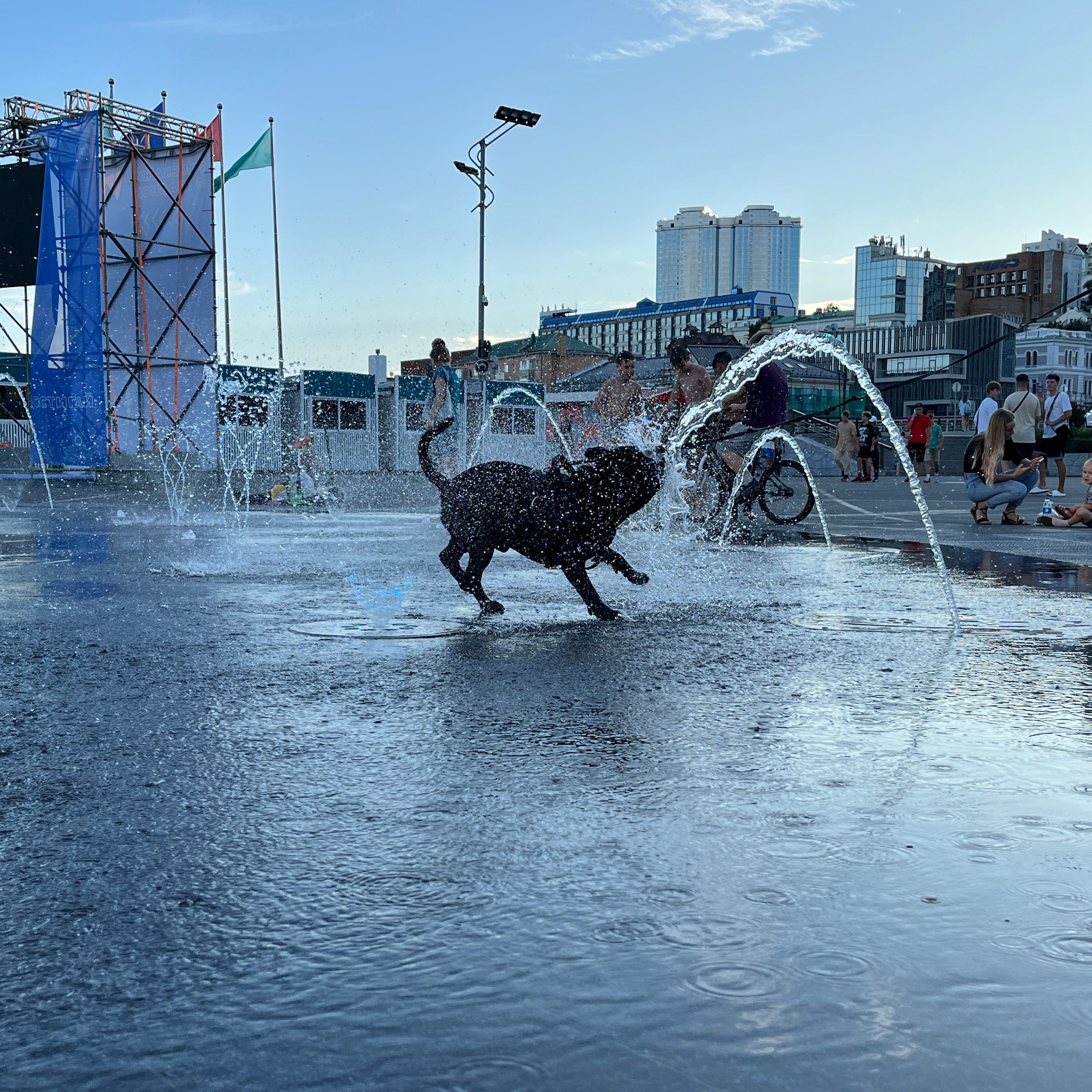 Уличная. Фотограф Владивосток Николай Тынько