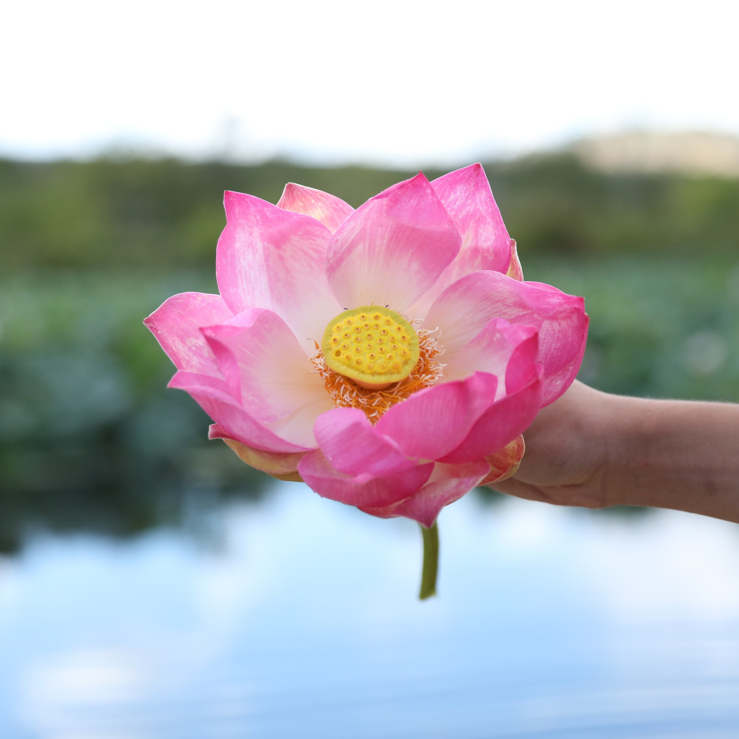 Пейзаж, архитектура, текстура. Фотограф Владивосток Николай Тынько