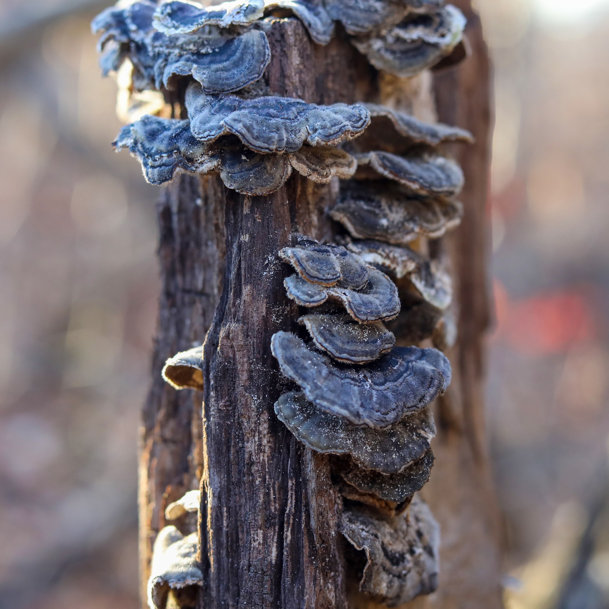 Пейзаж, архитектура, текстура. Фотограф Владивосток Николай Тынько