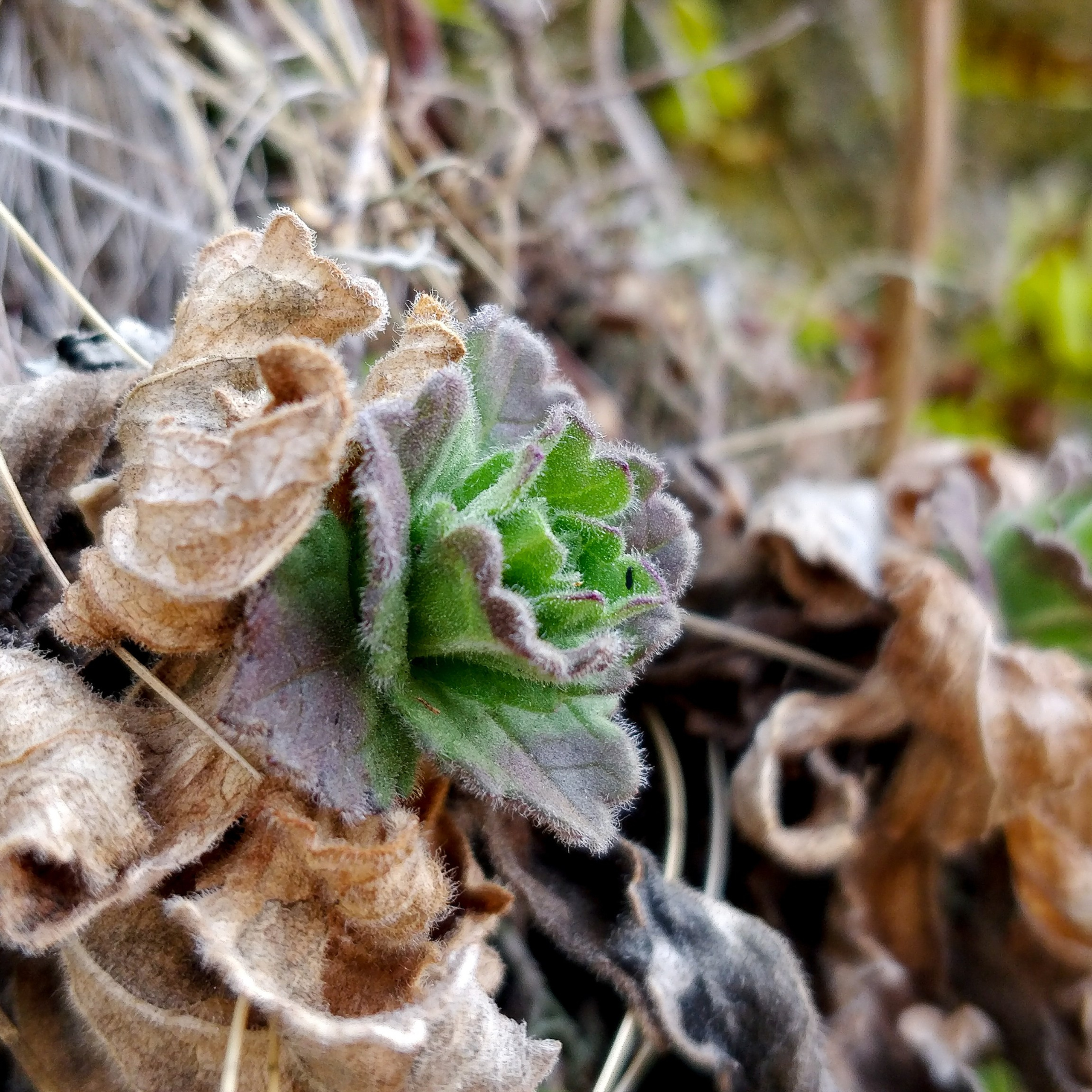 Пейзаж, архитектура, текстура. Фотограф Владивосток Николай Тынько