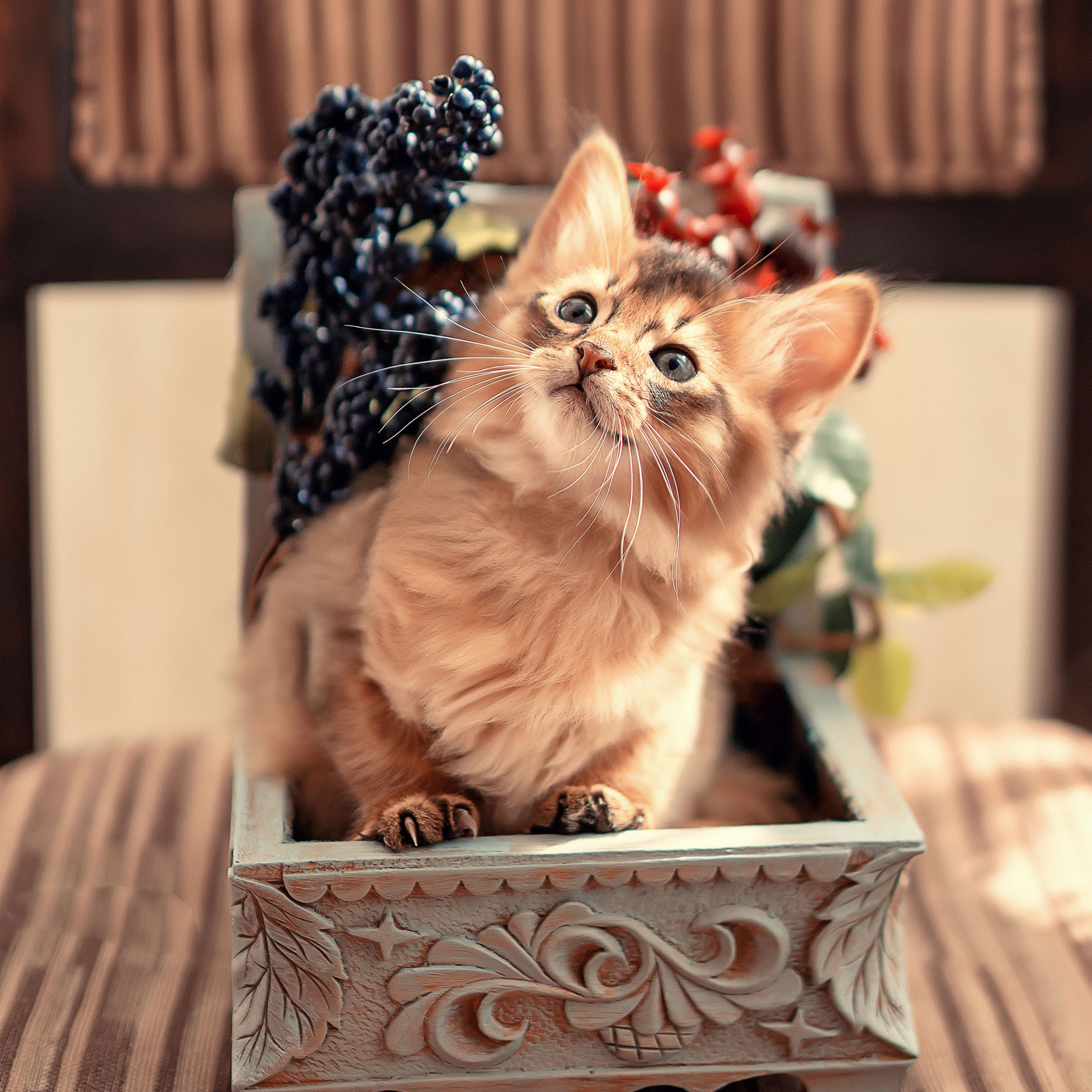 Отзывы о фотосессии. Фотограф Кочнова Диана город Владивосток