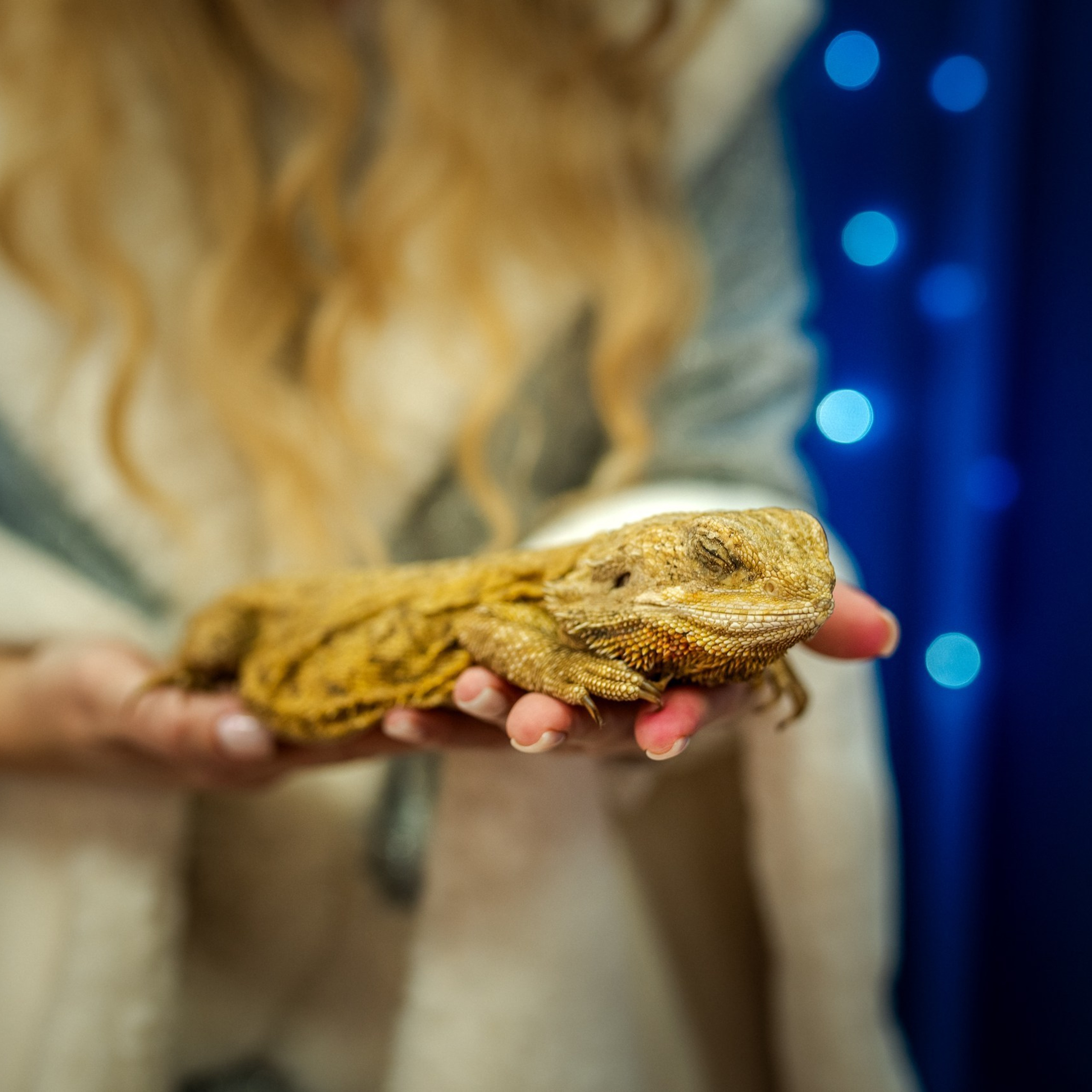 Отзывы. Профессиональный семейный и церковный фотограф в Ростове-на-Дону