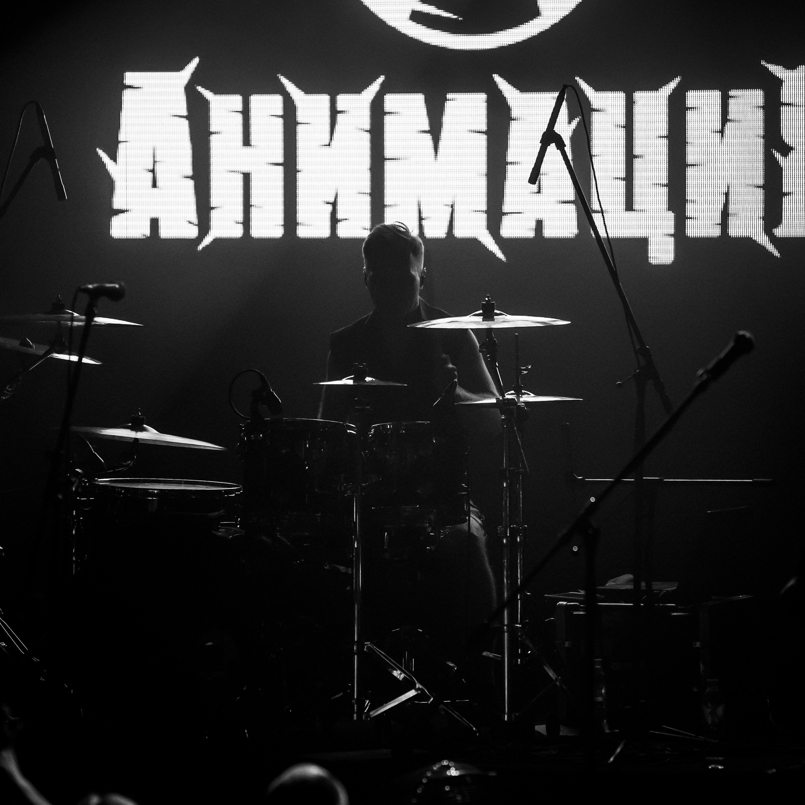 Концерт группы Анимация