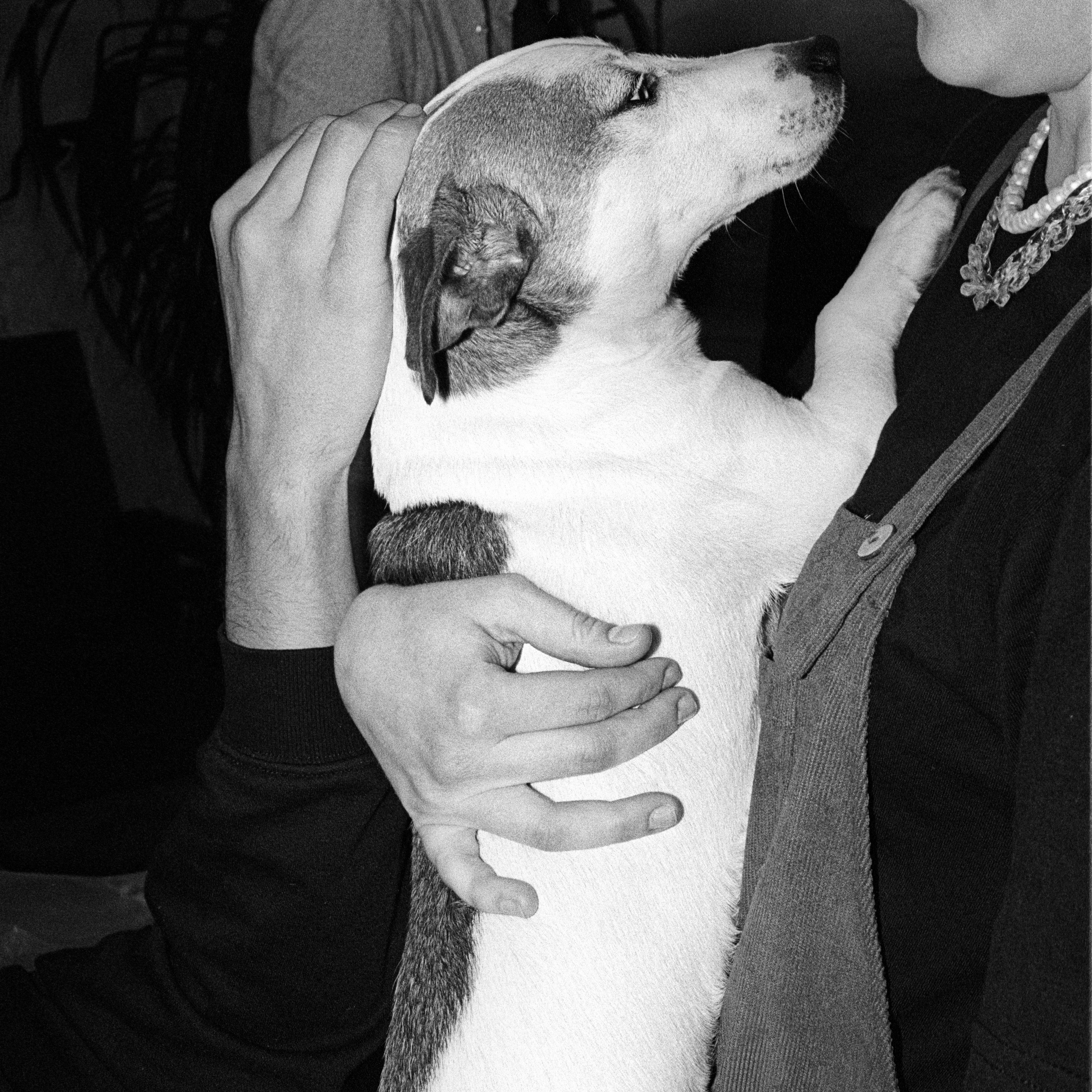 коллективный труд, городская парикмахерская, брянск