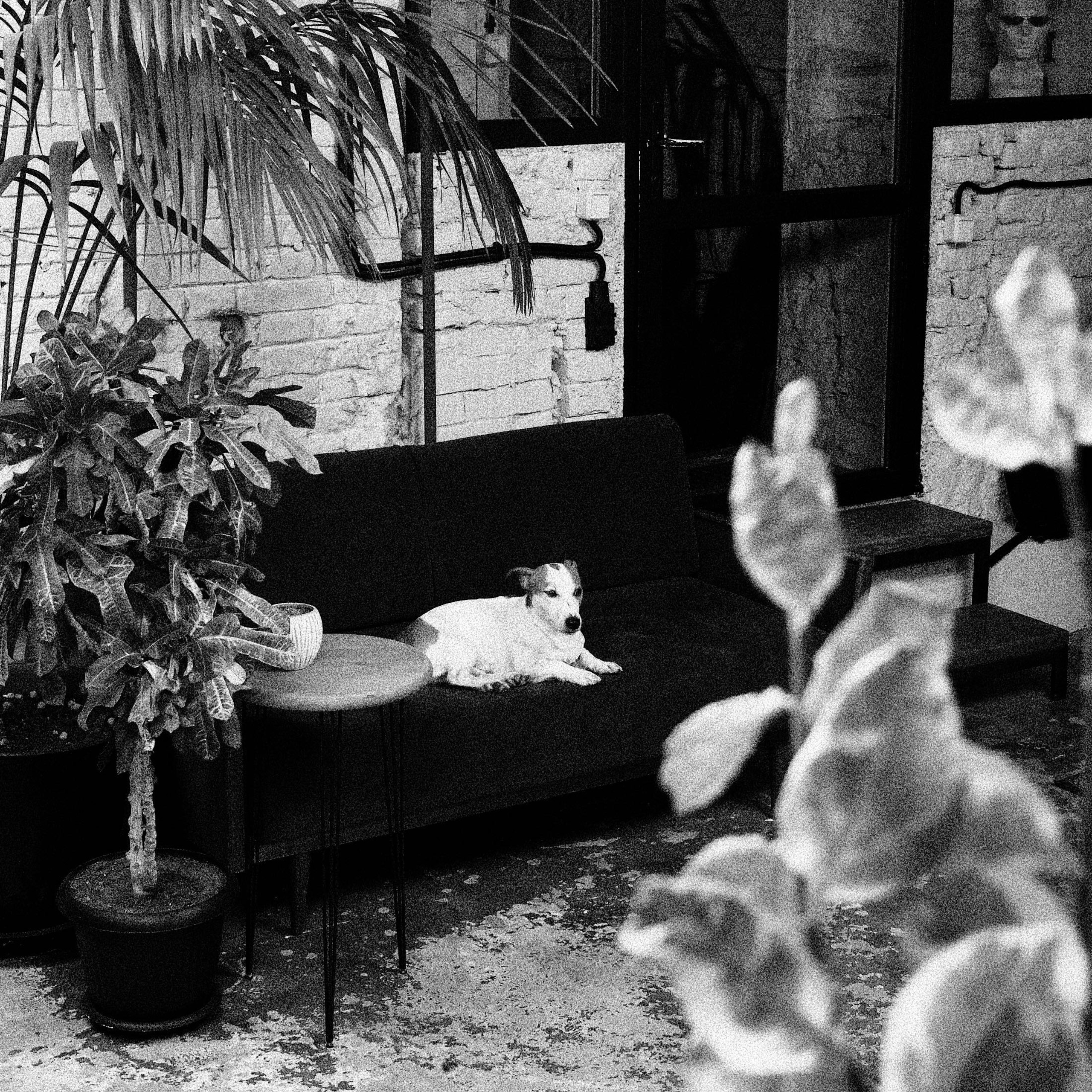 коллективный труд, городская парикмахерская, брянск