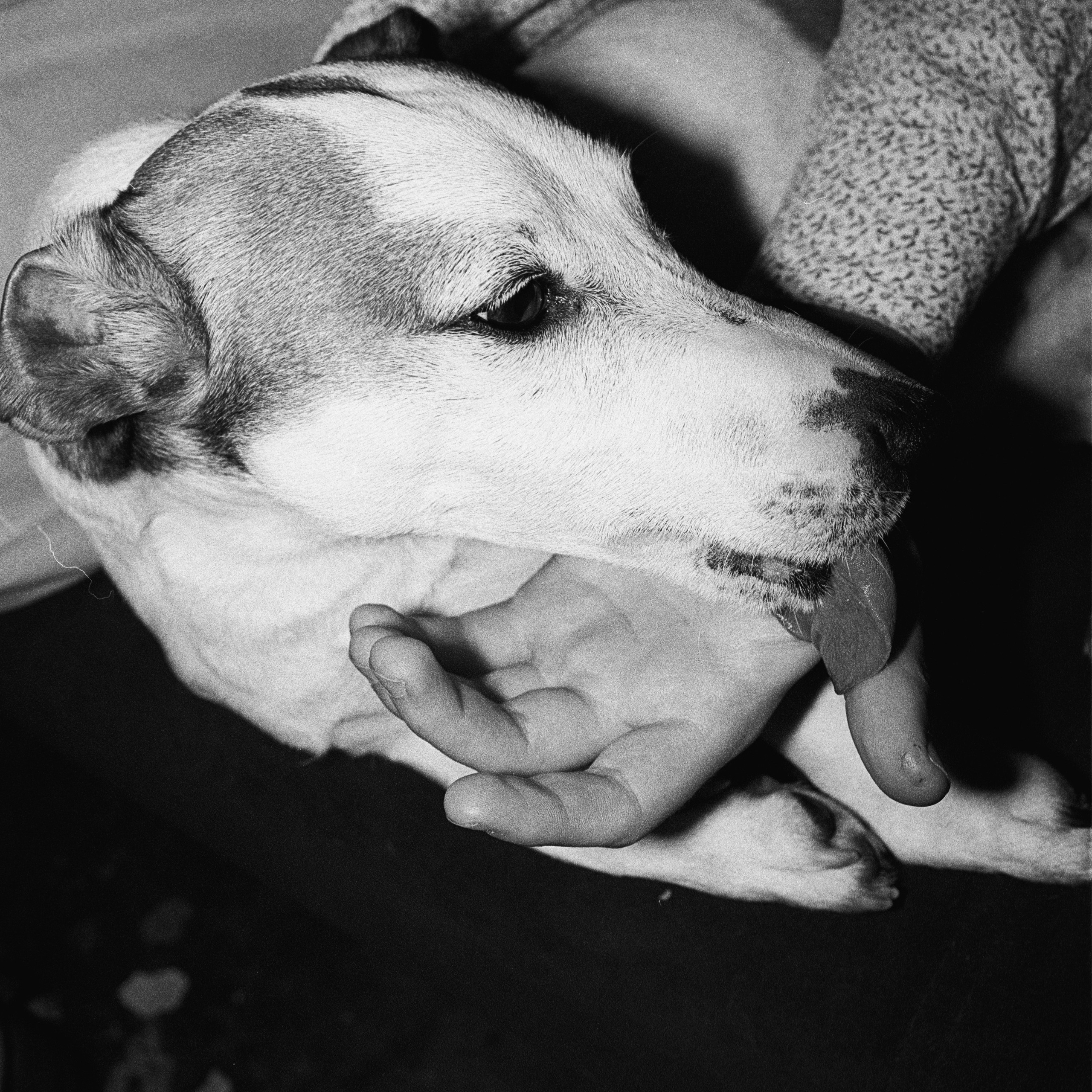 коллективный труд, городская парикмахерская, брянск