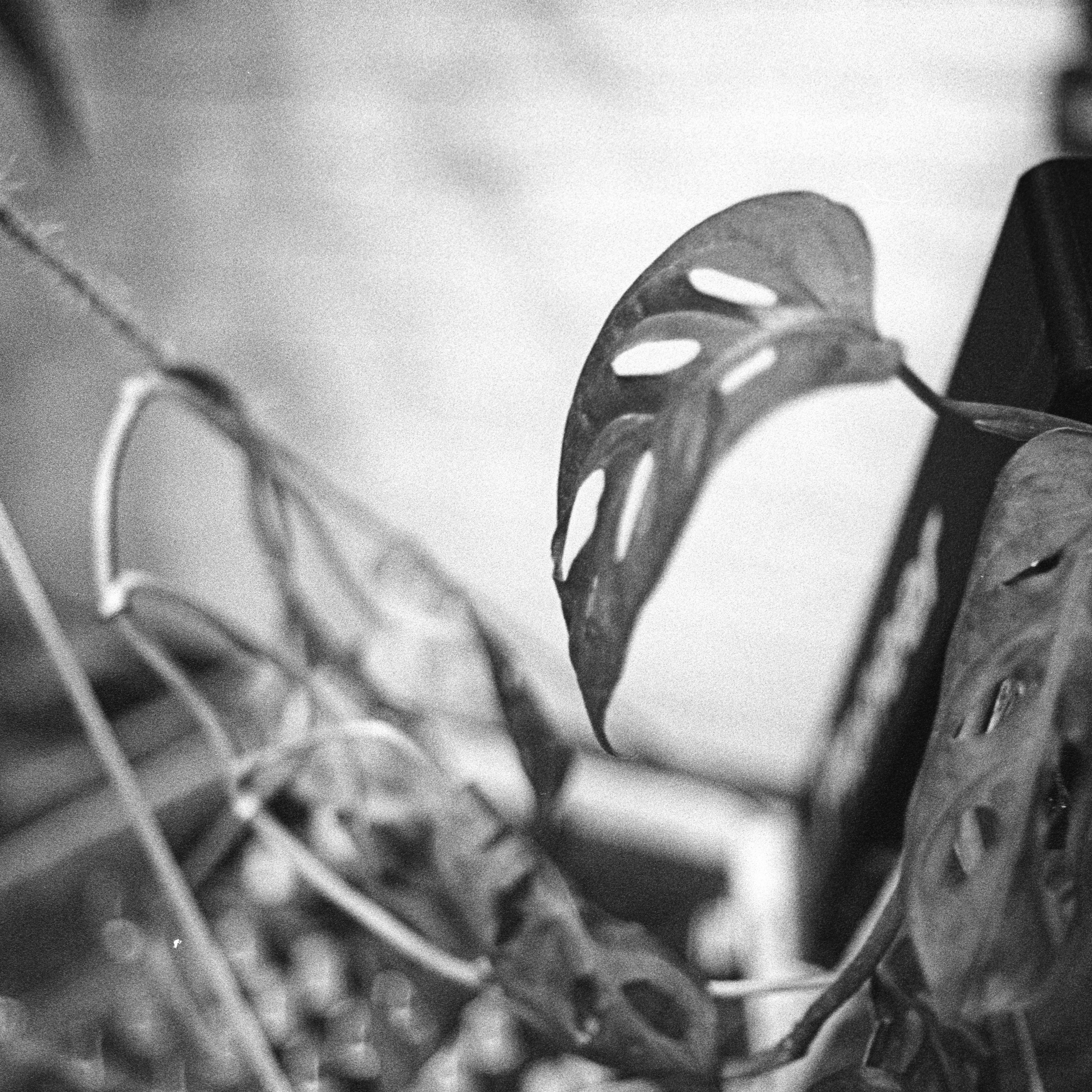 коллективный труд, городская парикмахерская, брянск