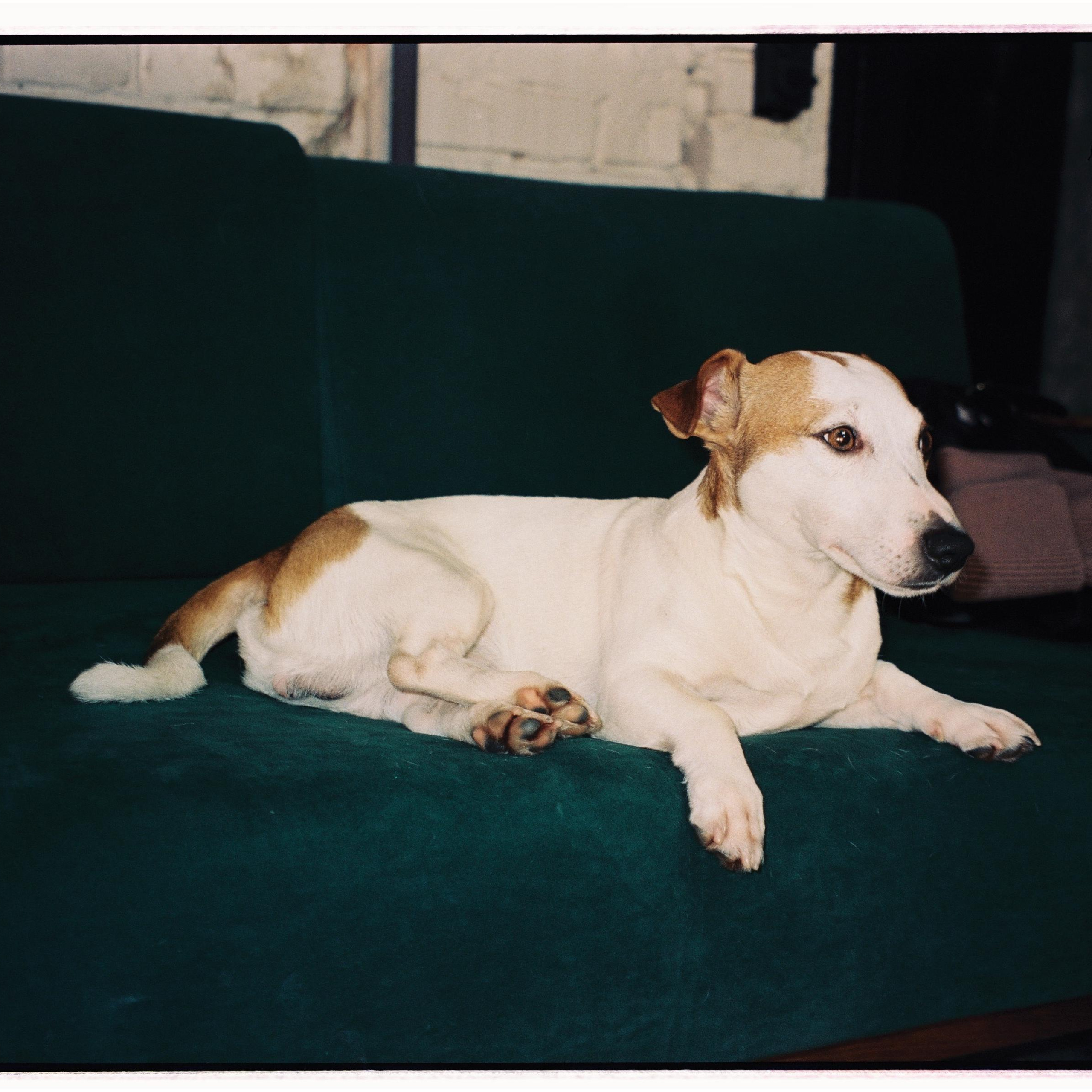 коллективный труд, городская парикмахерская, брянск