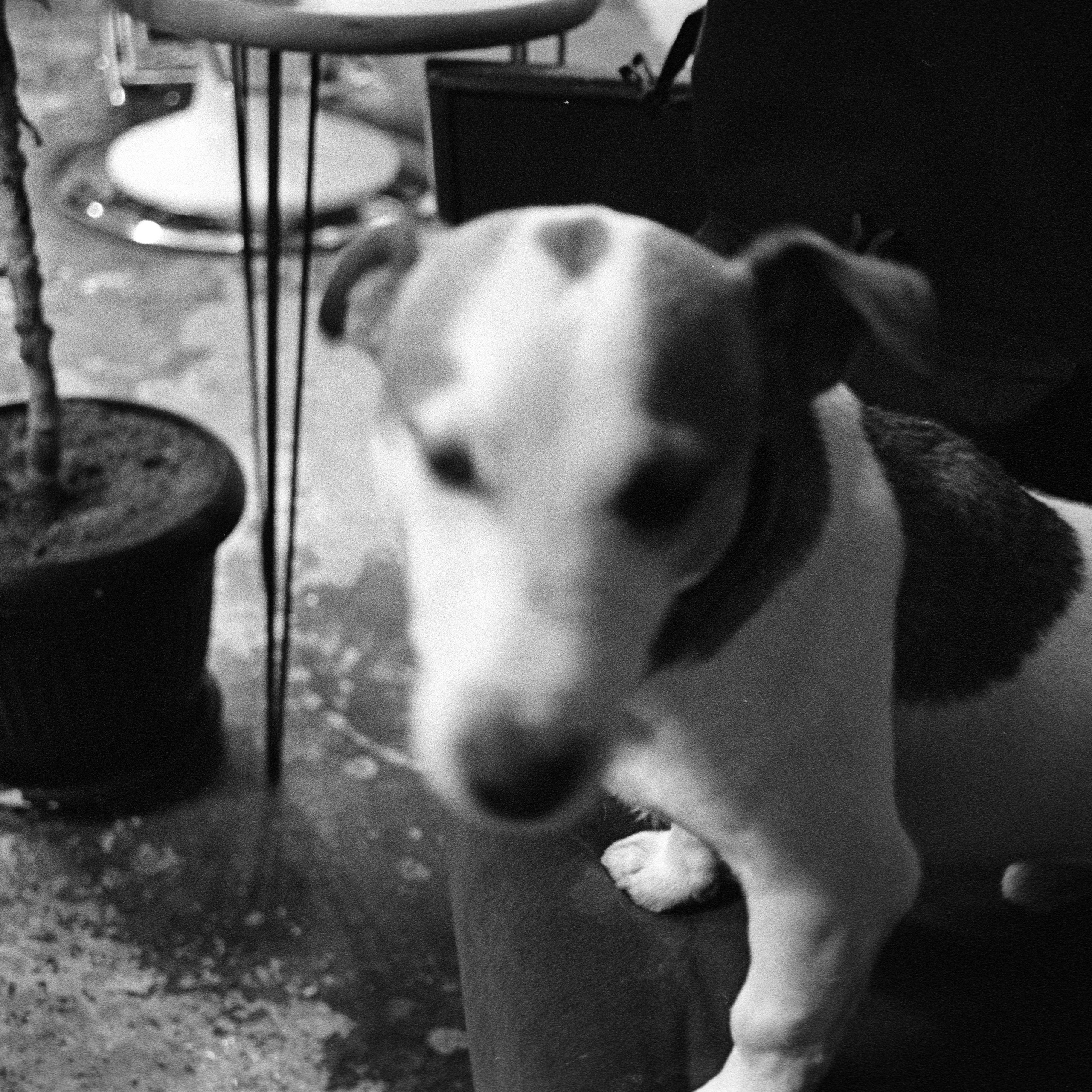 коллективный труд, городская парикмахерская, брянск