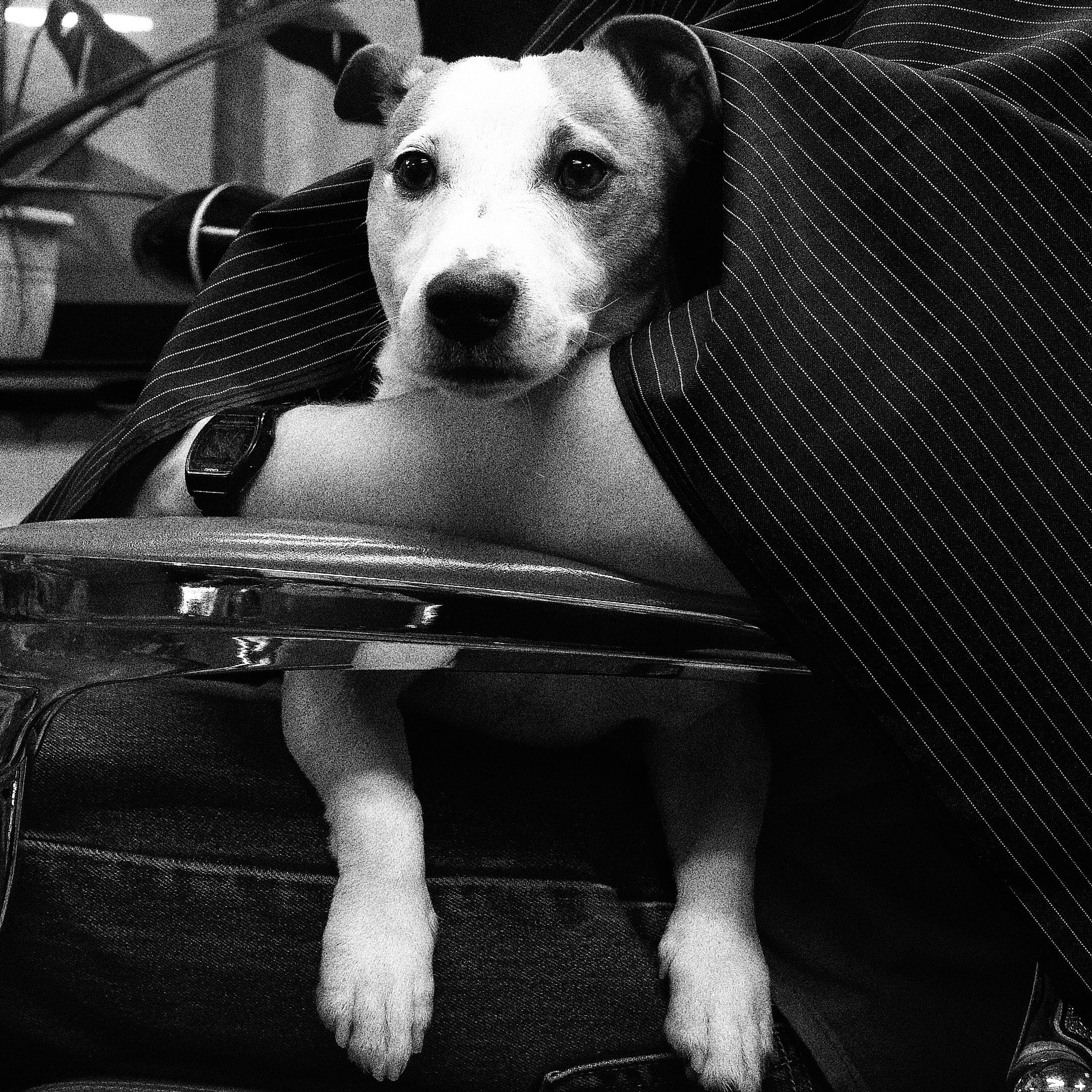 коллективный труд, городская парикмахерская, брянск