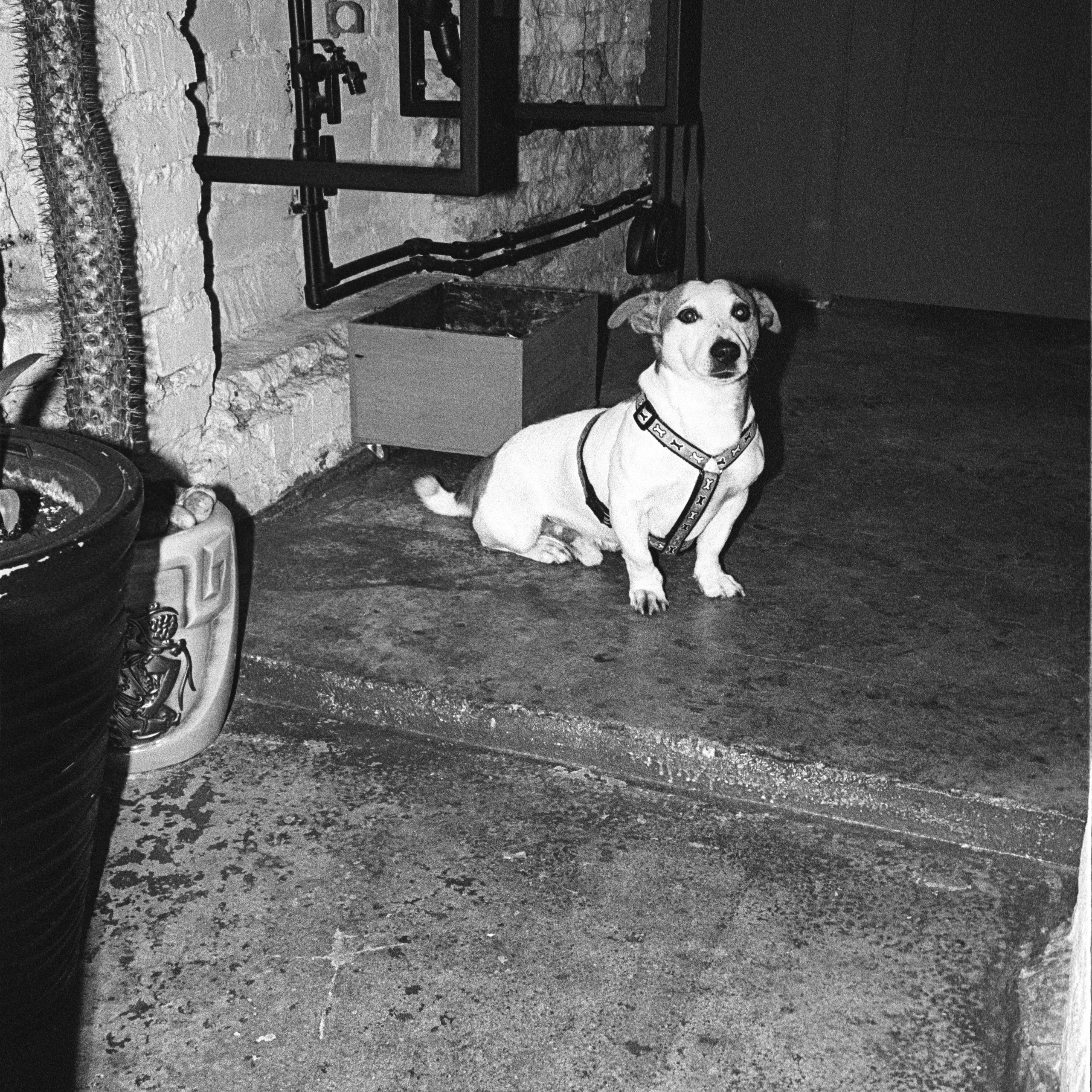 коллективный труд, городская парикмахерская, брянск