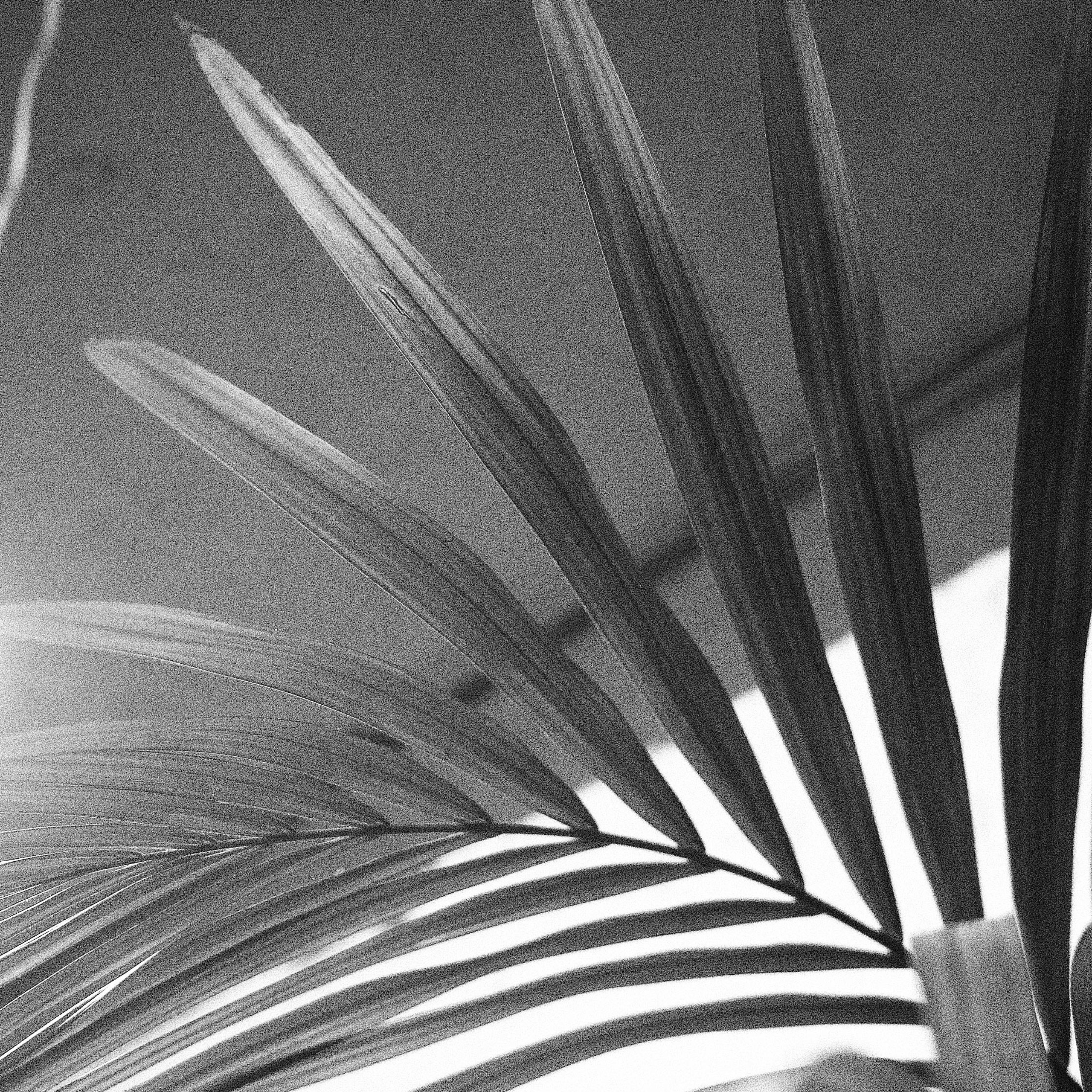 коллективный труд, городская парикмахерская, брянск