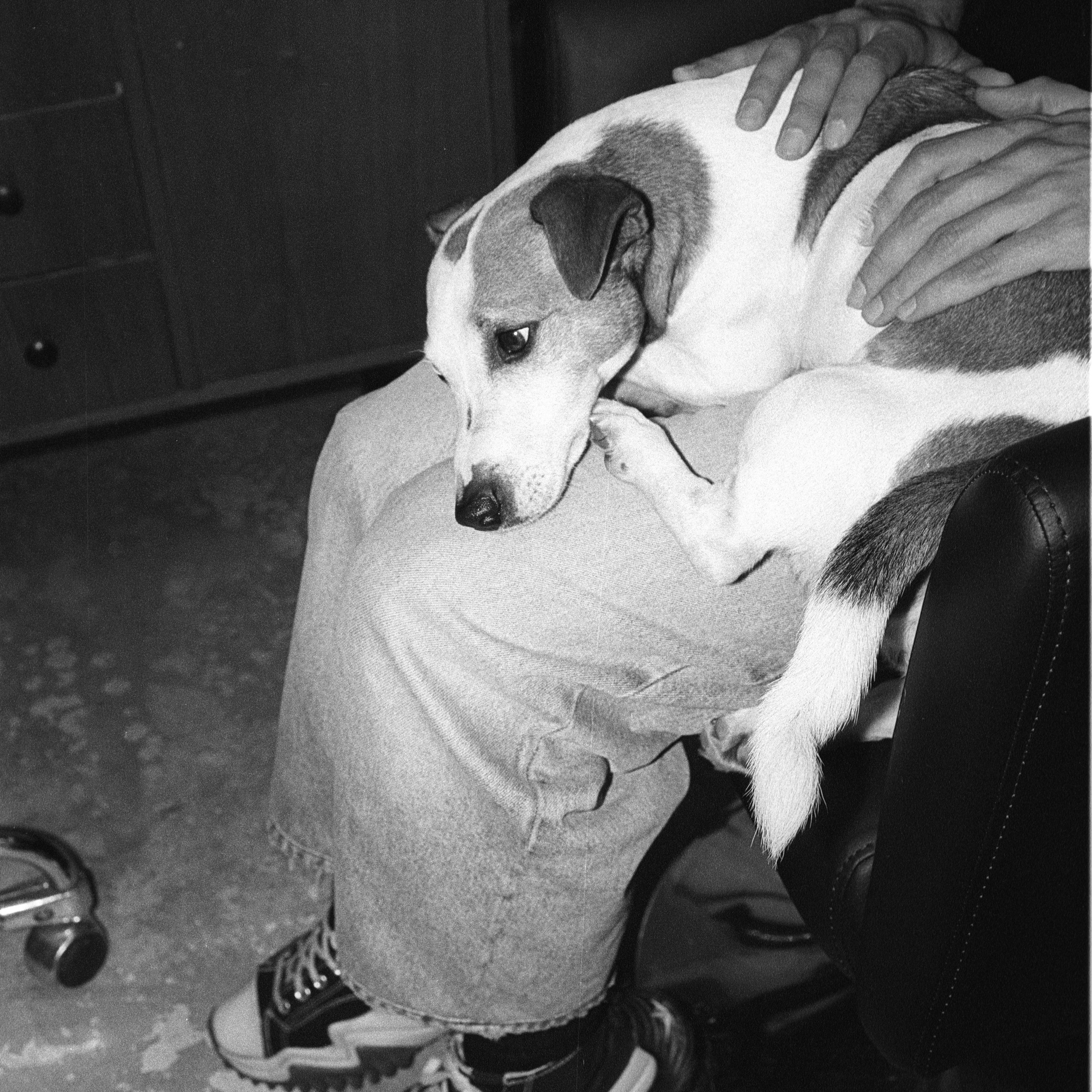 коллективный труд, городская парикмахерская, брянск