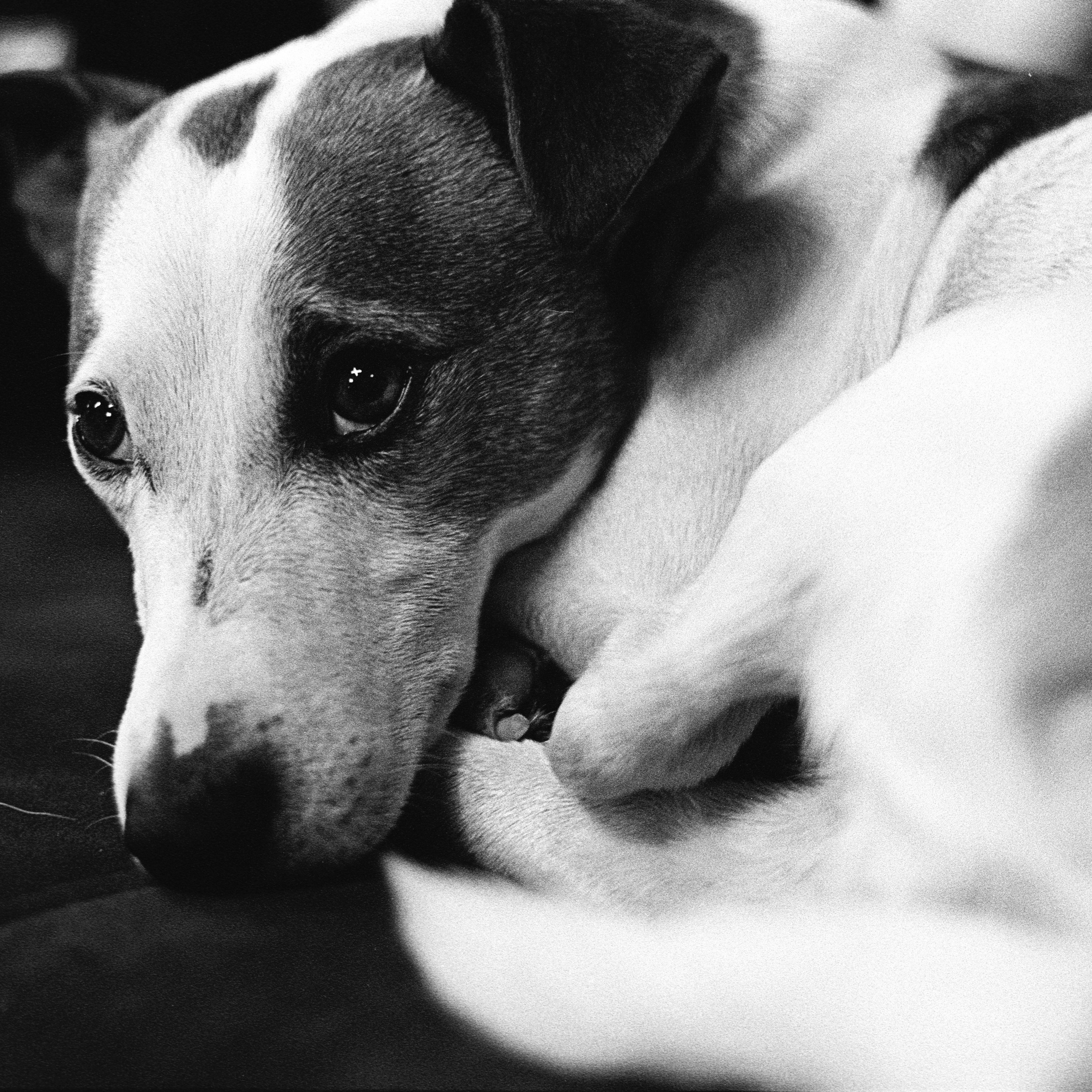 коллективный труд, городская парикмахерская, брянск