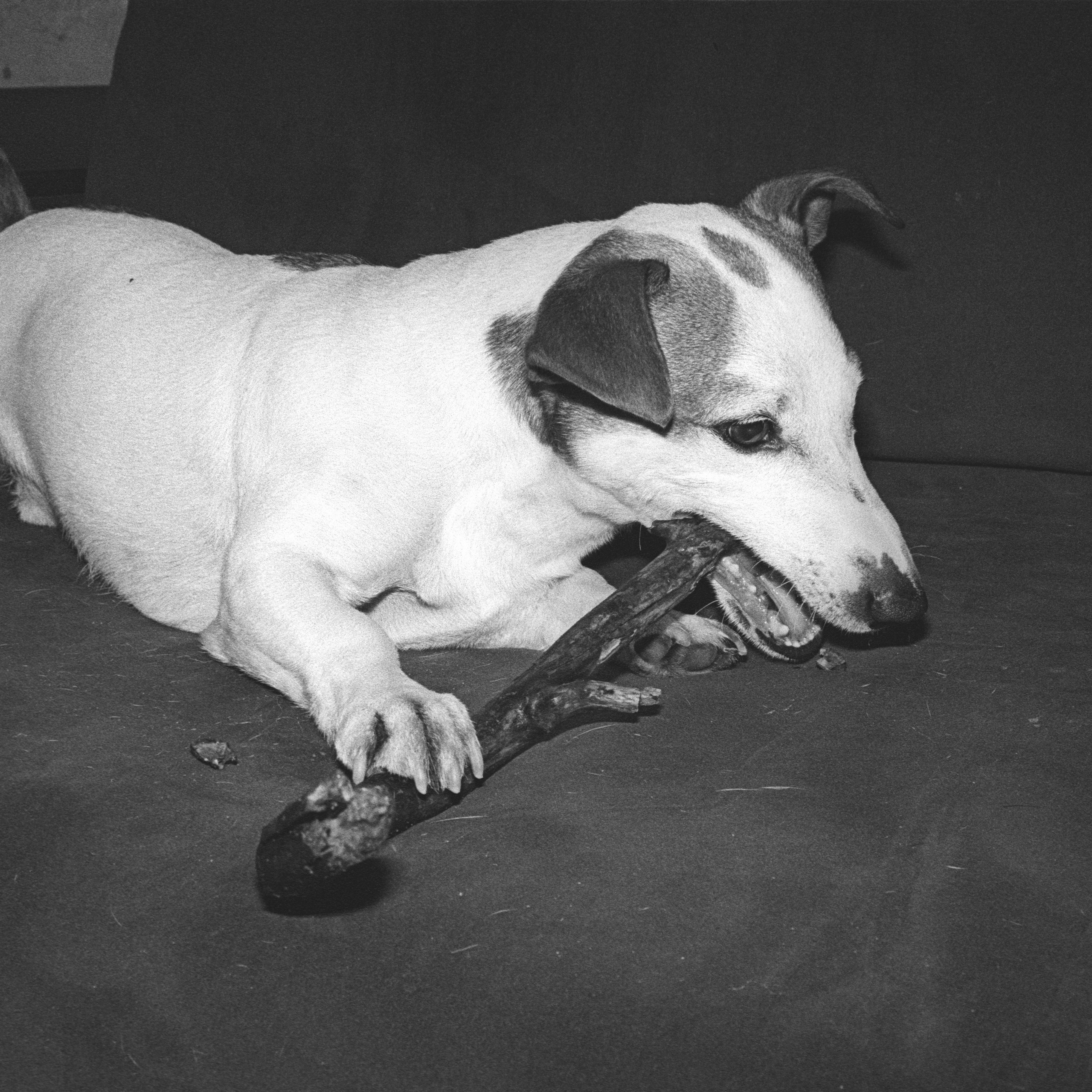 коллективный труд, городская парикмахерская, брянск