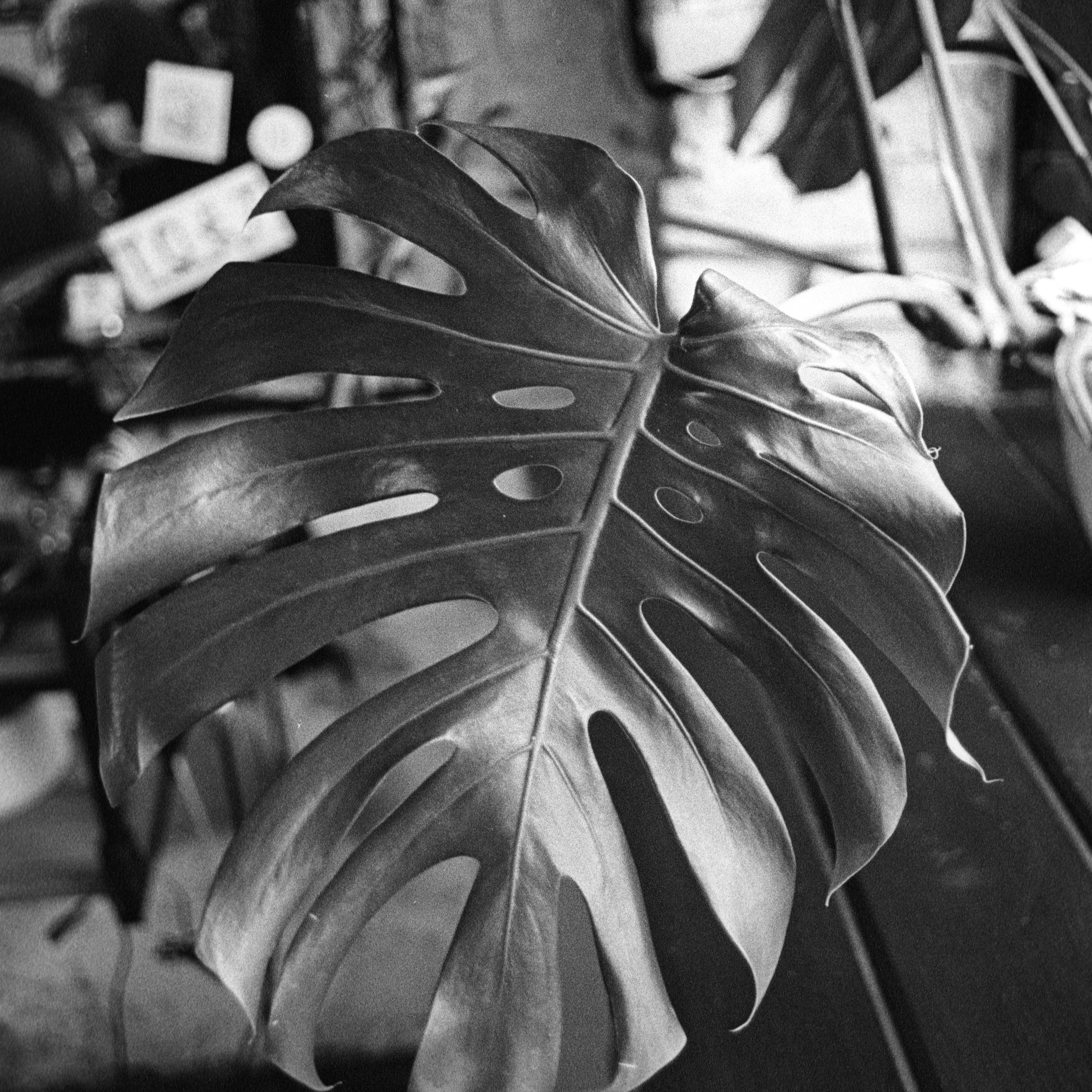 коллективный труд, городская парикмахерская, брянск