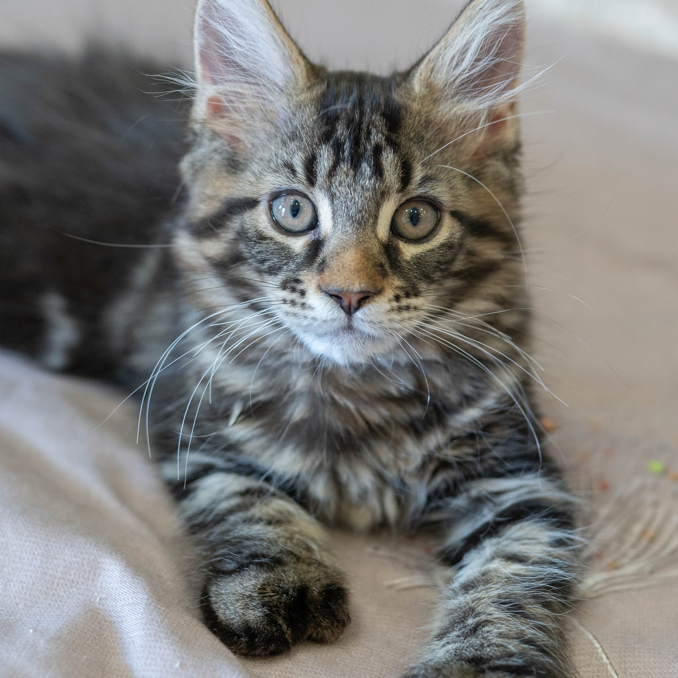 ОТЗЫВЫ. Ekaterinazolotykh.photo