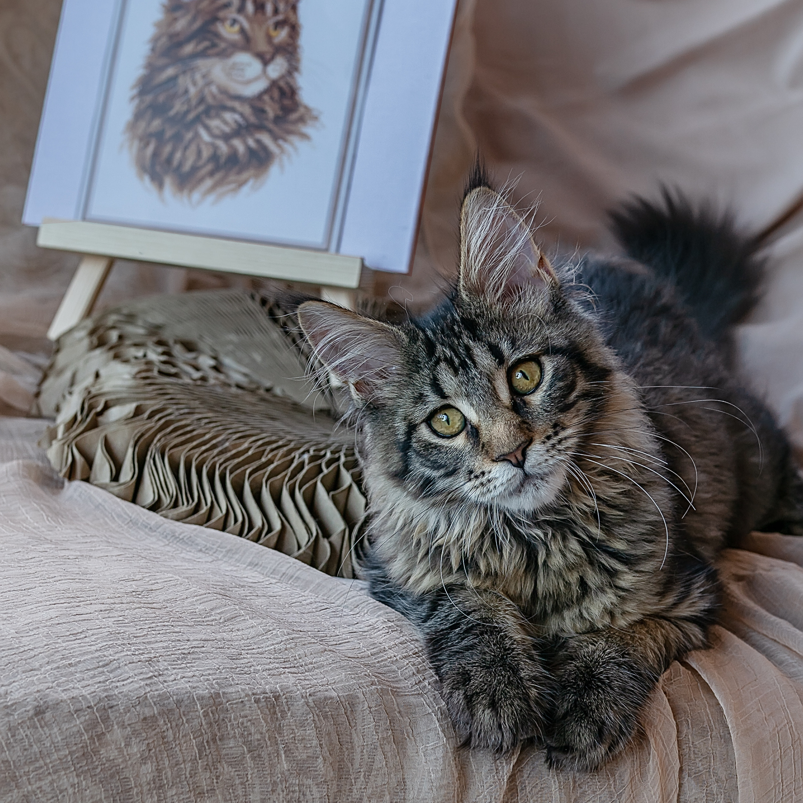 ОТЗЫВЫ. Ekaterinazolotykh.photo