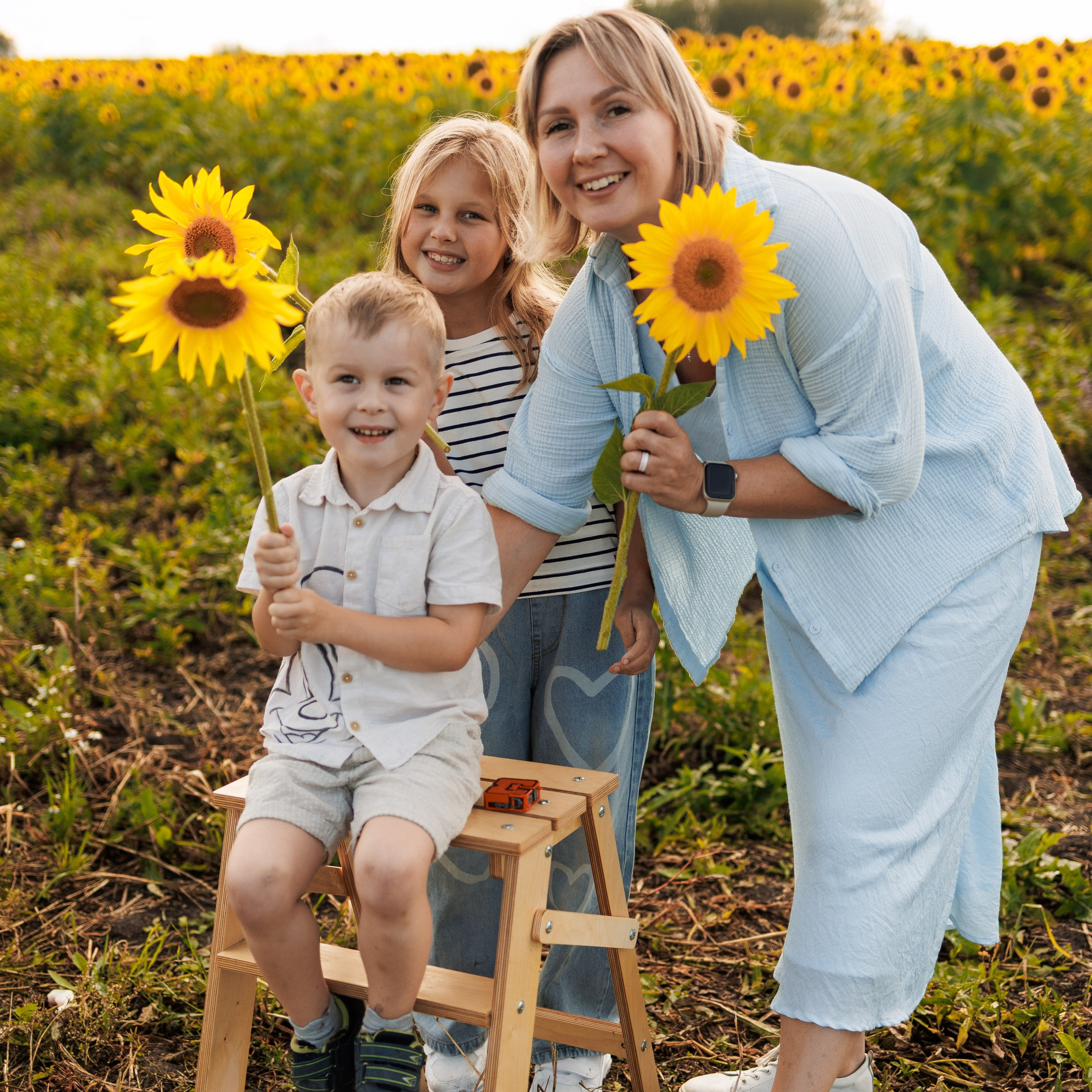 В поле подсолнухов