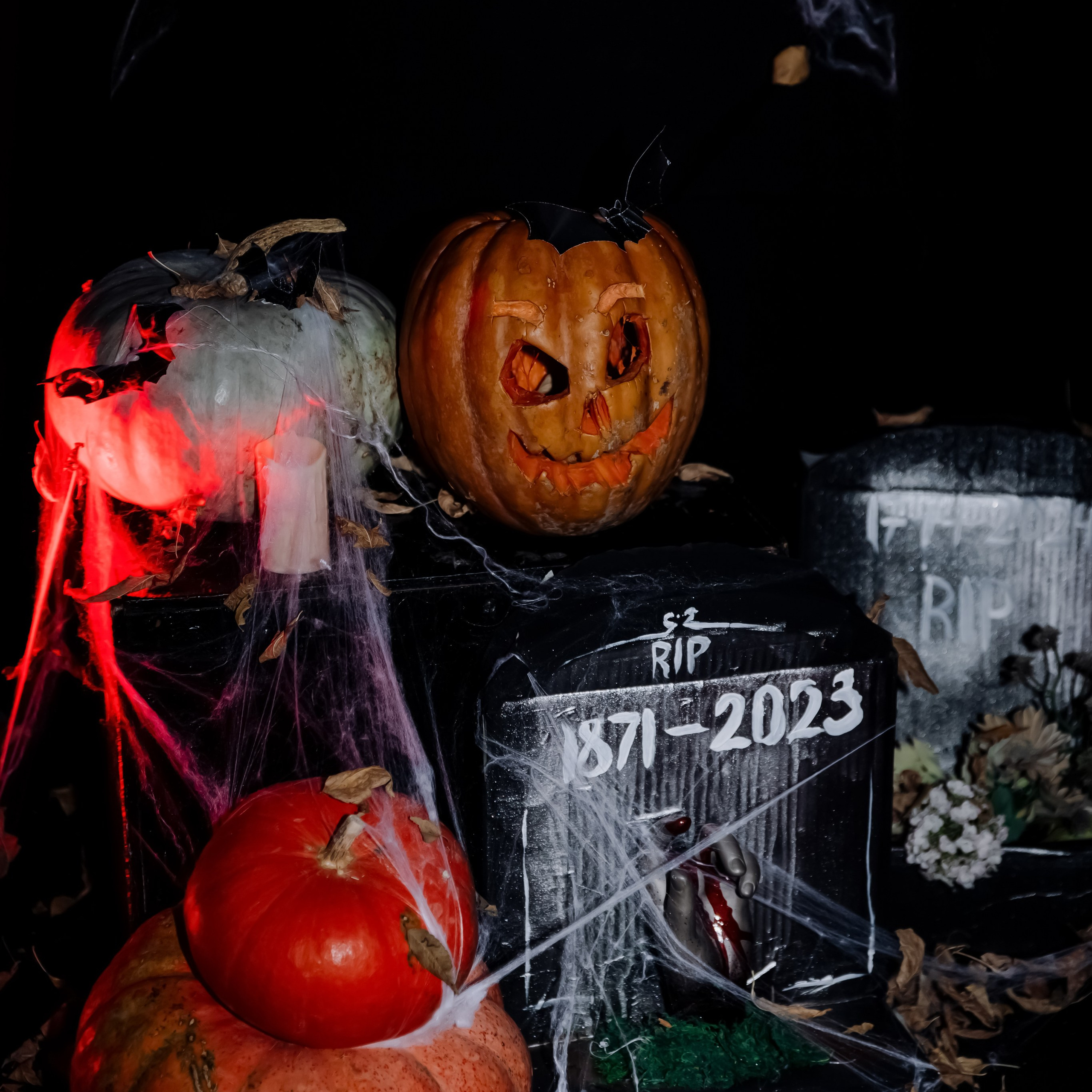 Отзывы. Фотограф Ирина Калиниченко