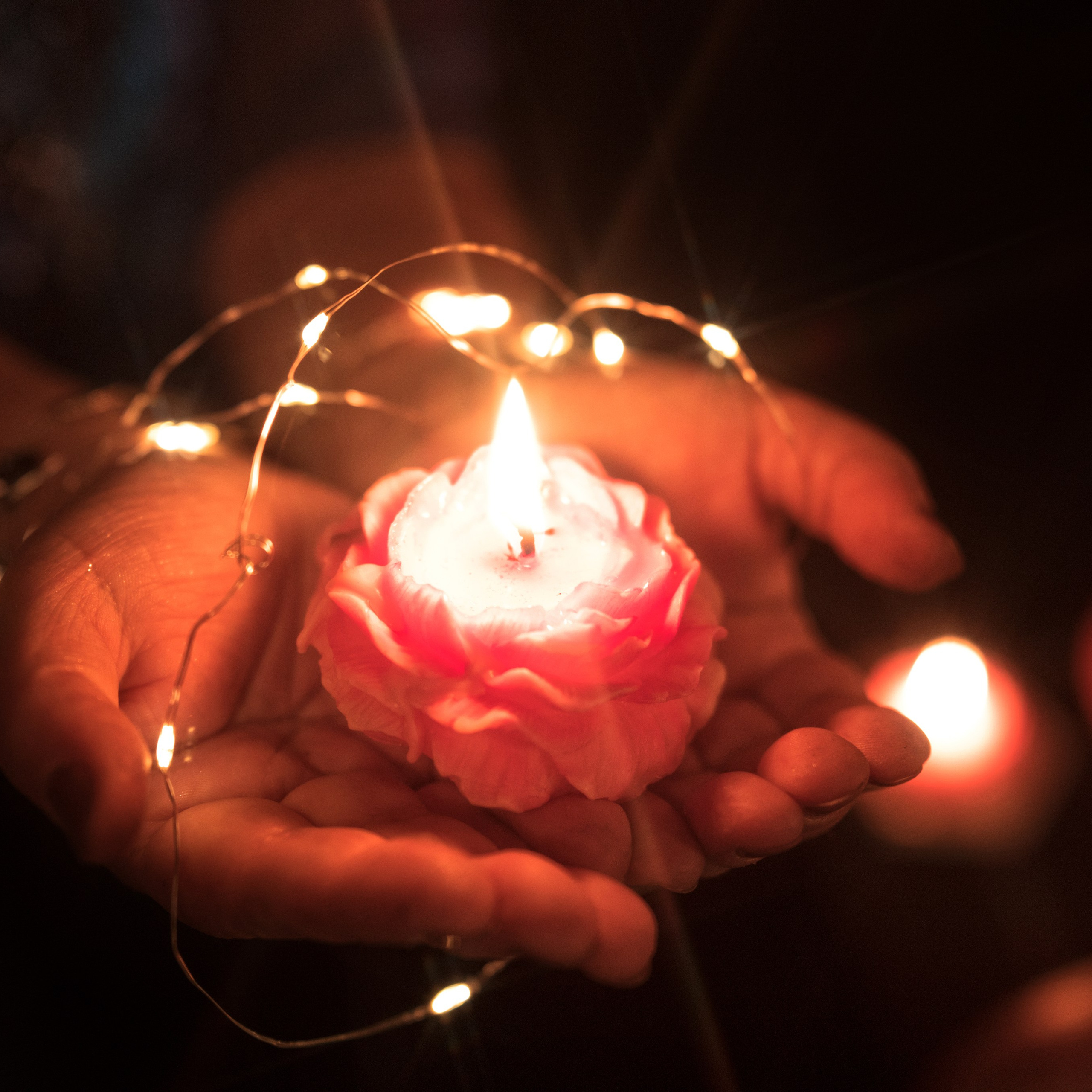 Отзывы. Фотографы в Кандалакше Олеся и Юрий. Мурманская область, Россия