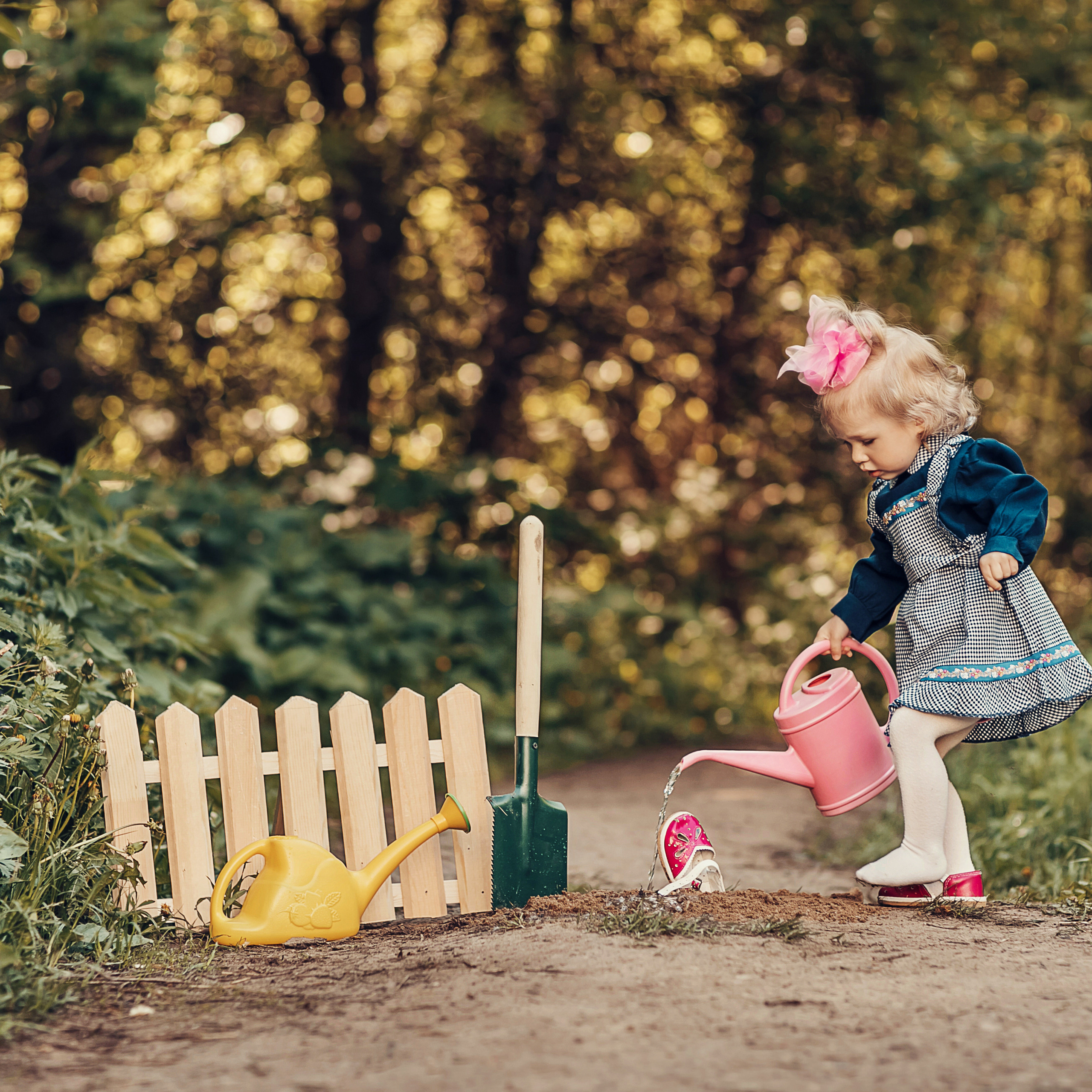 Чудо-дерево