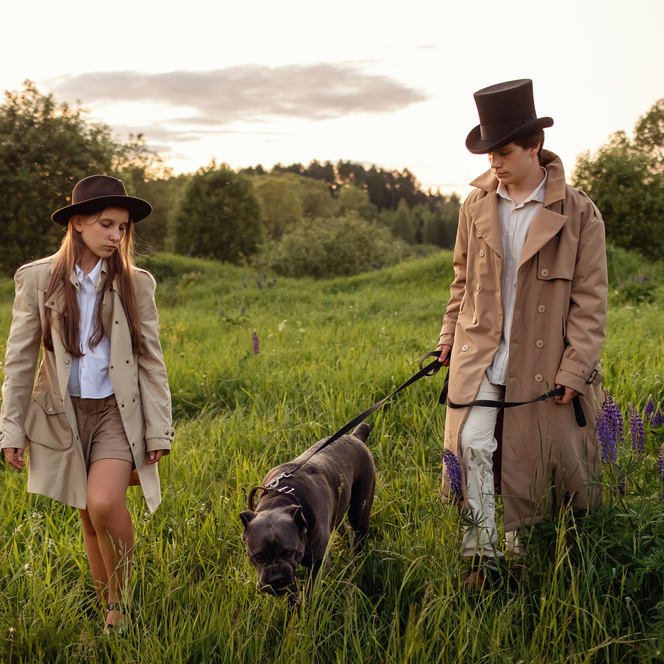 Собака Баскервилей