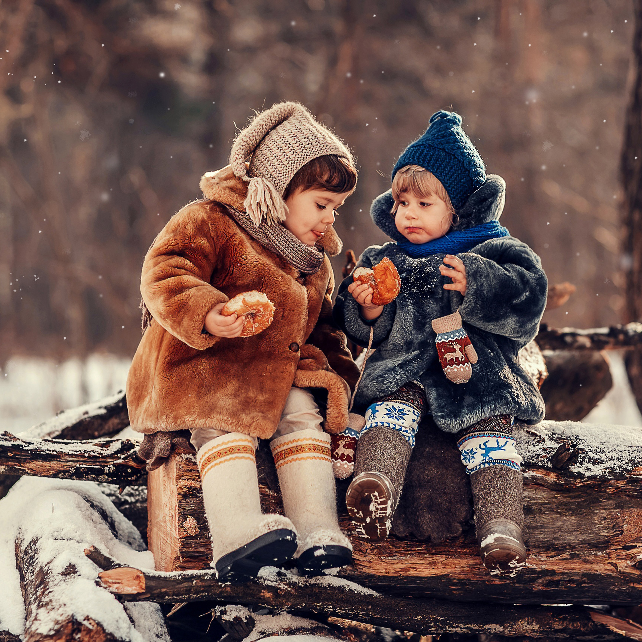 Скворечники