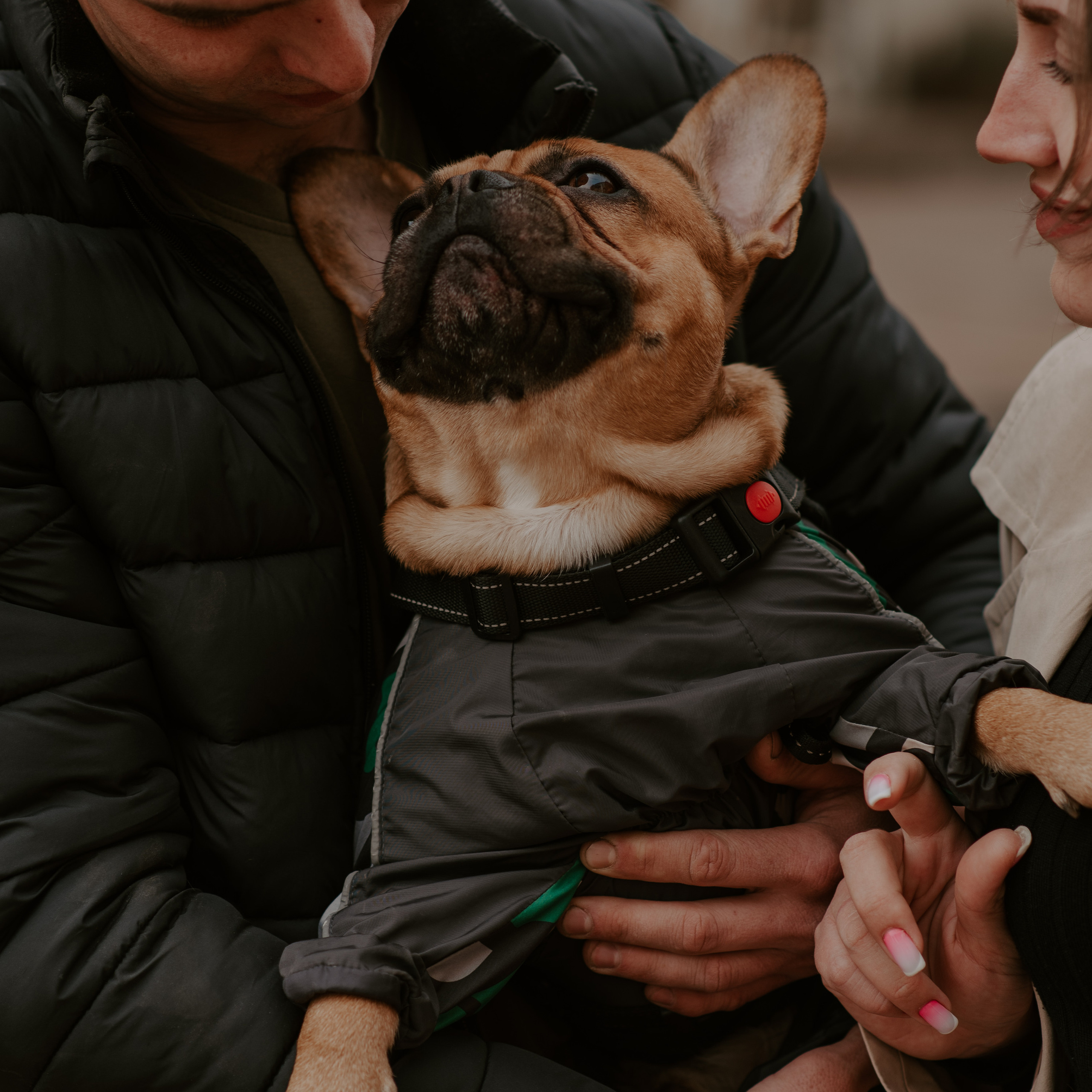 Трое и мопс