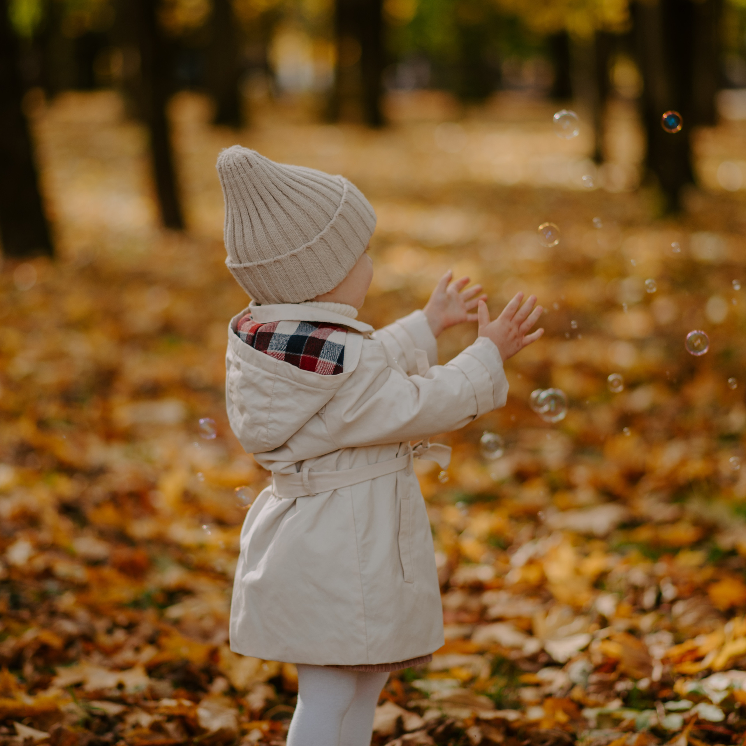 Очень теплая осень