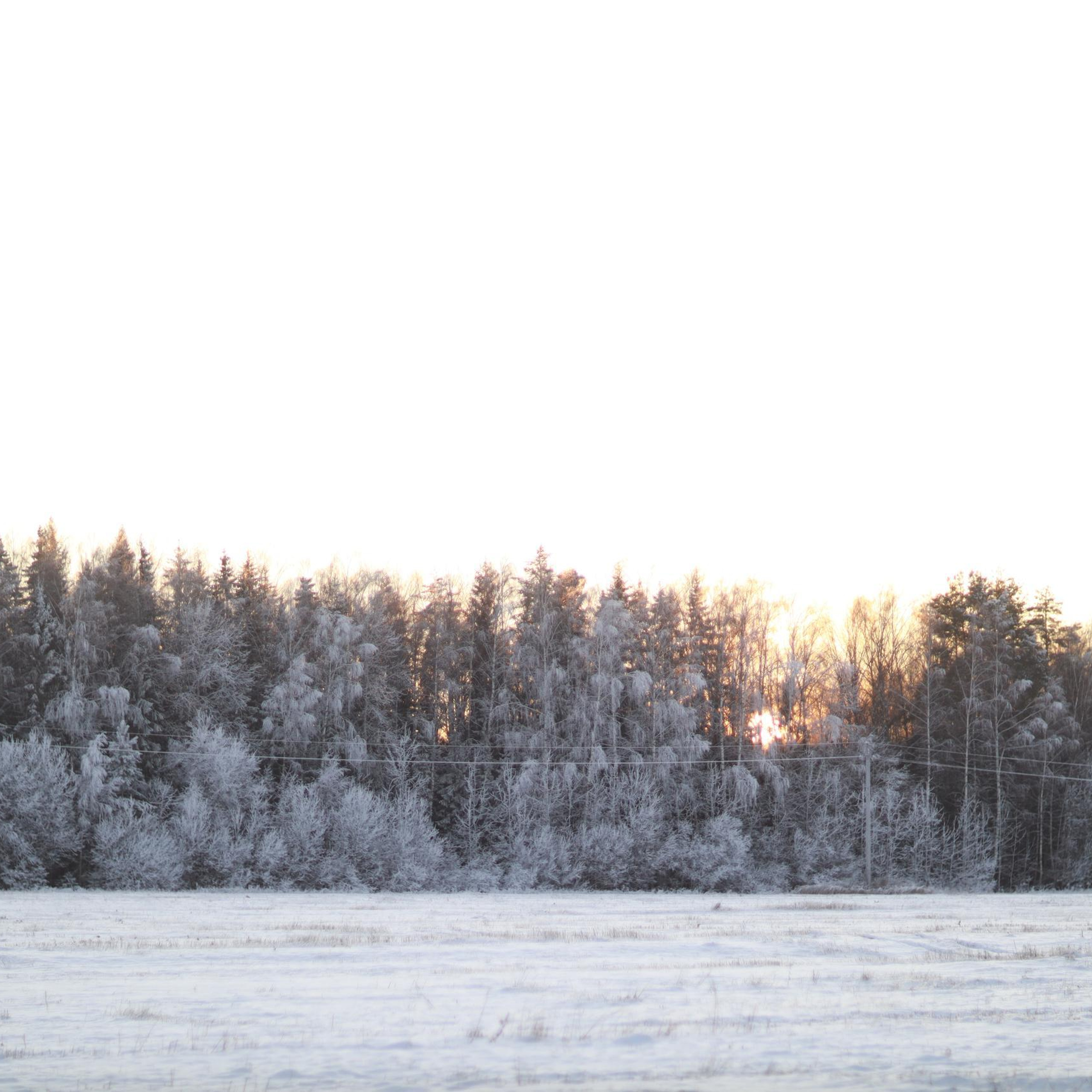 Отзывы. Свадебный, семейный, детский фотограф г. Иваново Татьяна Муратова