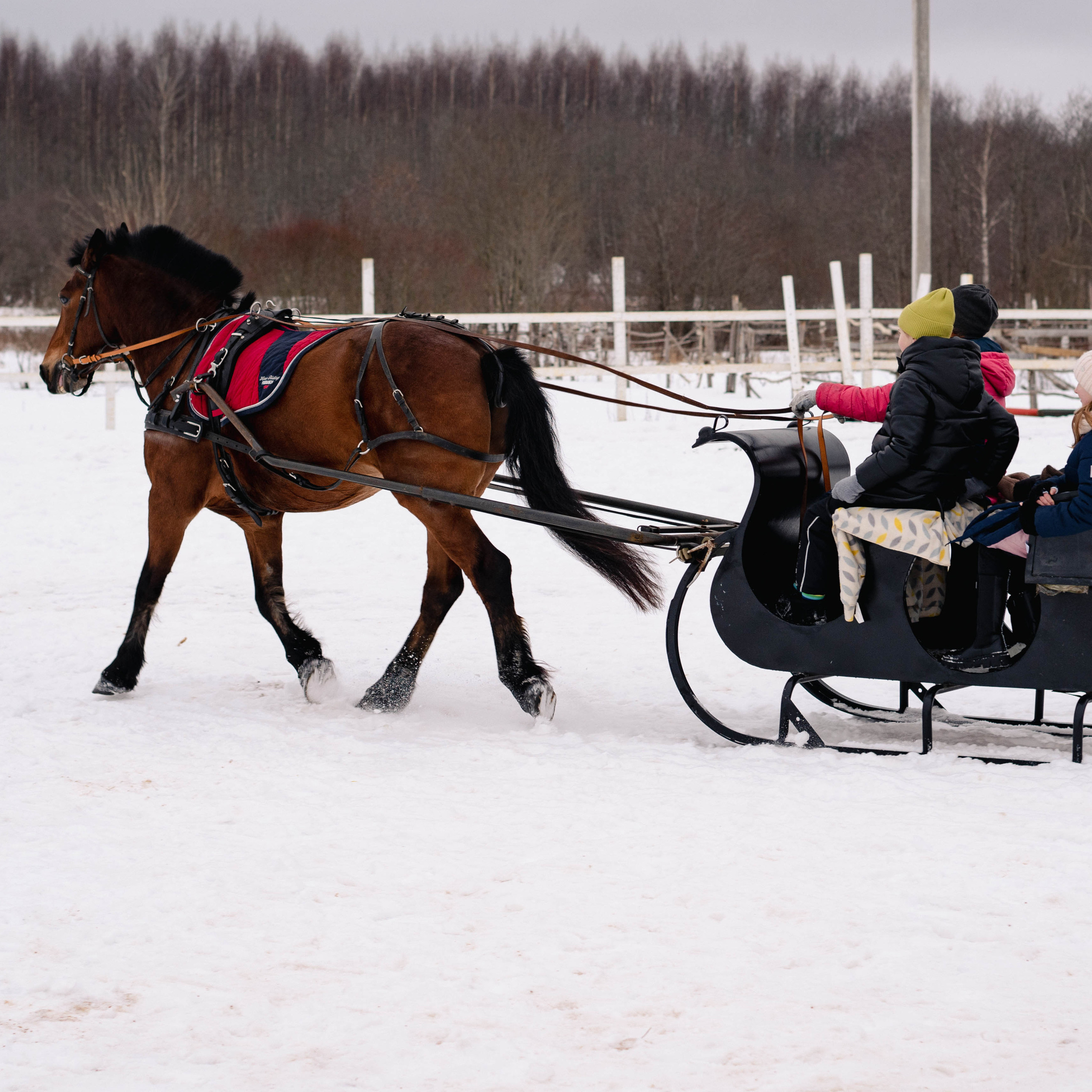 Отзывы. Детский и семейный фотограф в Рыбинске Юлия Дмитриева